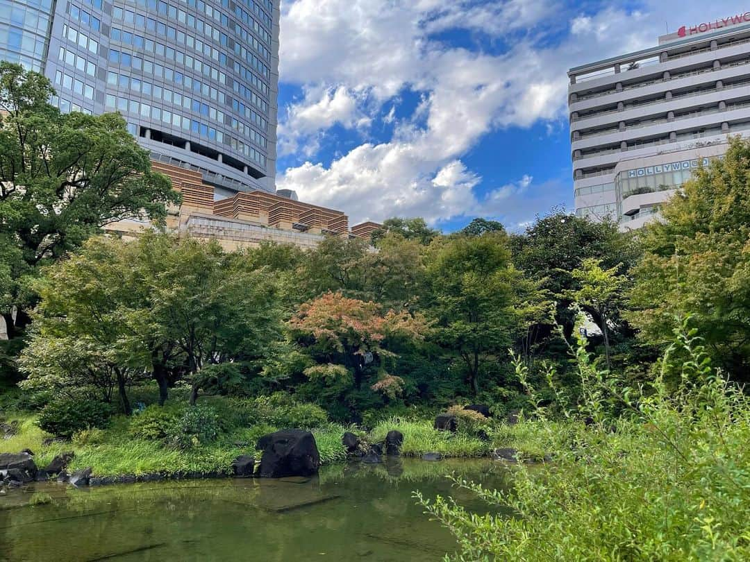 渡辺瑠海さんのインスタグラム写真 - (渡辺瑠海Instagram)「🍁  毛利庭園の紅葉が見頃を迎えています  定期的に様子を見に行っていたのですが だんだん色づいてきたなーと思ったら そこからは一瞬で真っ赤に！  だいぶ雑な定点観測ですが こうして見比べると葉の色づきだけじゃなく 空模様も少し違っていておもしろいですよね  また何か定点観測してみたいなあ🔭  #サンステ #サンデーステーション #お天気コーナー  #きょうのイロドリ #紅葉」12月12日 22時42分 - rumi_watanabe_ex