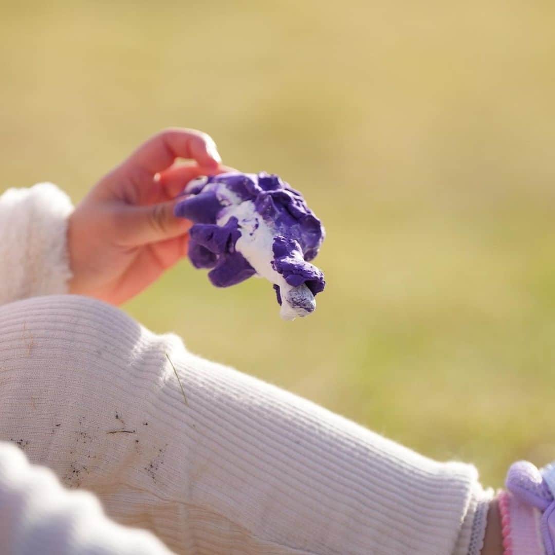 きりのさんのインスタグラム写真 - (きりのInstagram)「粘土で作ったアンキロサウルス！ 紫色で桐乃らしい☺️  最近は制作遊びが好きみたいです。自分の作りたいものを表現できるようになって楽しさを感じられるようになったのかな！  #4歳女の子」12月12日 22時42分 - kirino0808