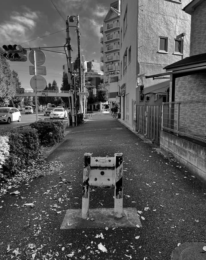 高野寛のインスタグラム：「#monochrome_tokio」