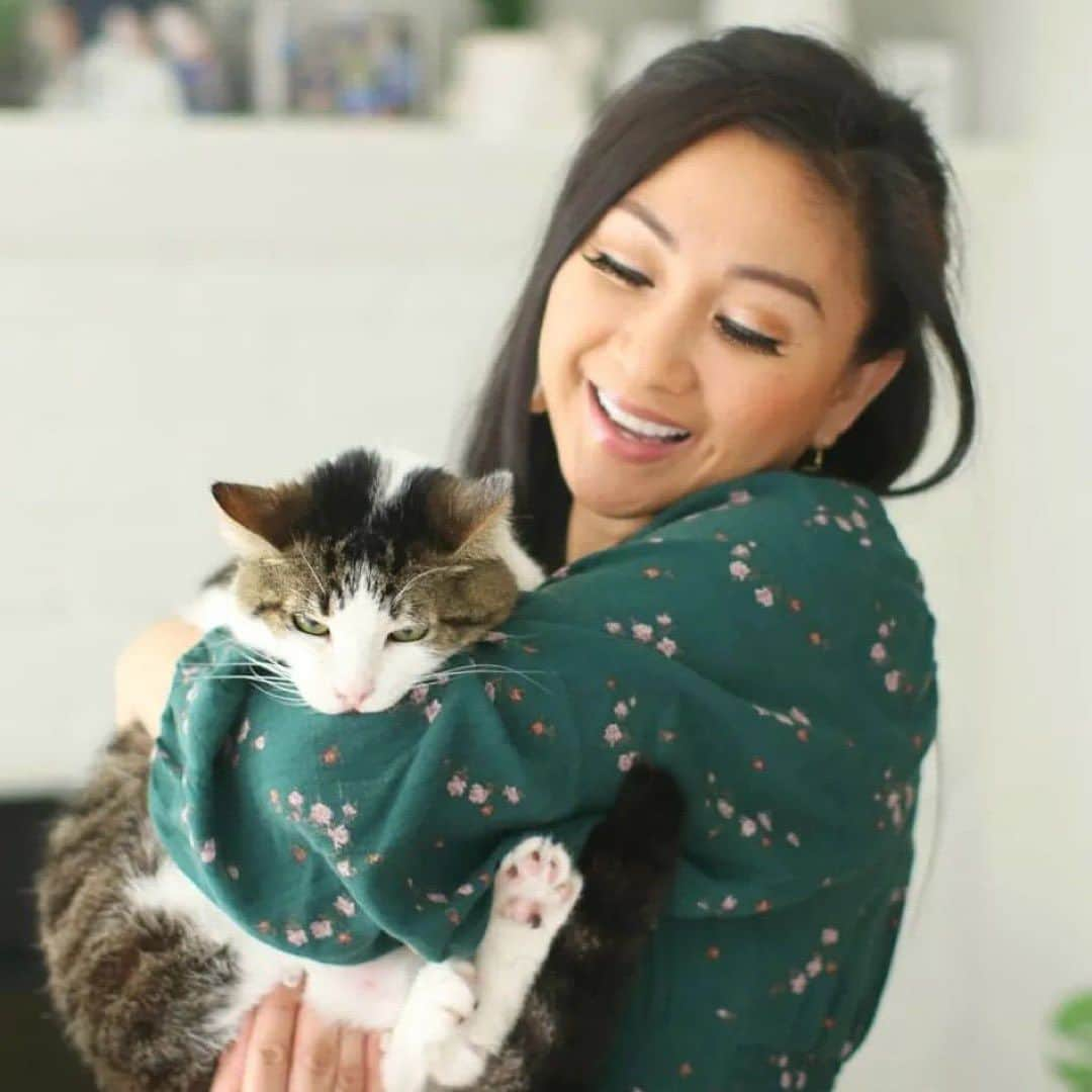 Cats of Instagramのインスタグラム：「#ad The @purinacatchow book, “60 Years. 60 Stories.” featuring @aprilathena7 and Mr. Bob is finally out! 🐈🥳 SWIPE to read why April initially thought she wouldn’t be able to adopt him and what Mr. Bob has taught her over the years. Also, it’s sooo amazing because @mandymooremm is also featured in the book! From now until 12/31/23, Purina is donating 100% of the book proceeds to Pet Partners so go to CatChow.com/60Years to pick up a copy! 🙌 #catchowpartner」