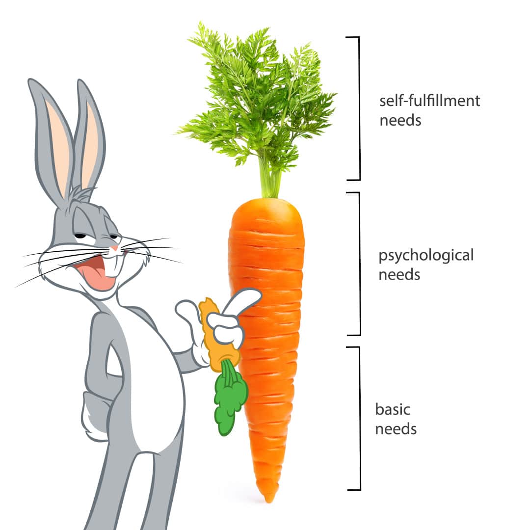 Looneyのインスタグラム：「It's all coming up carrots」