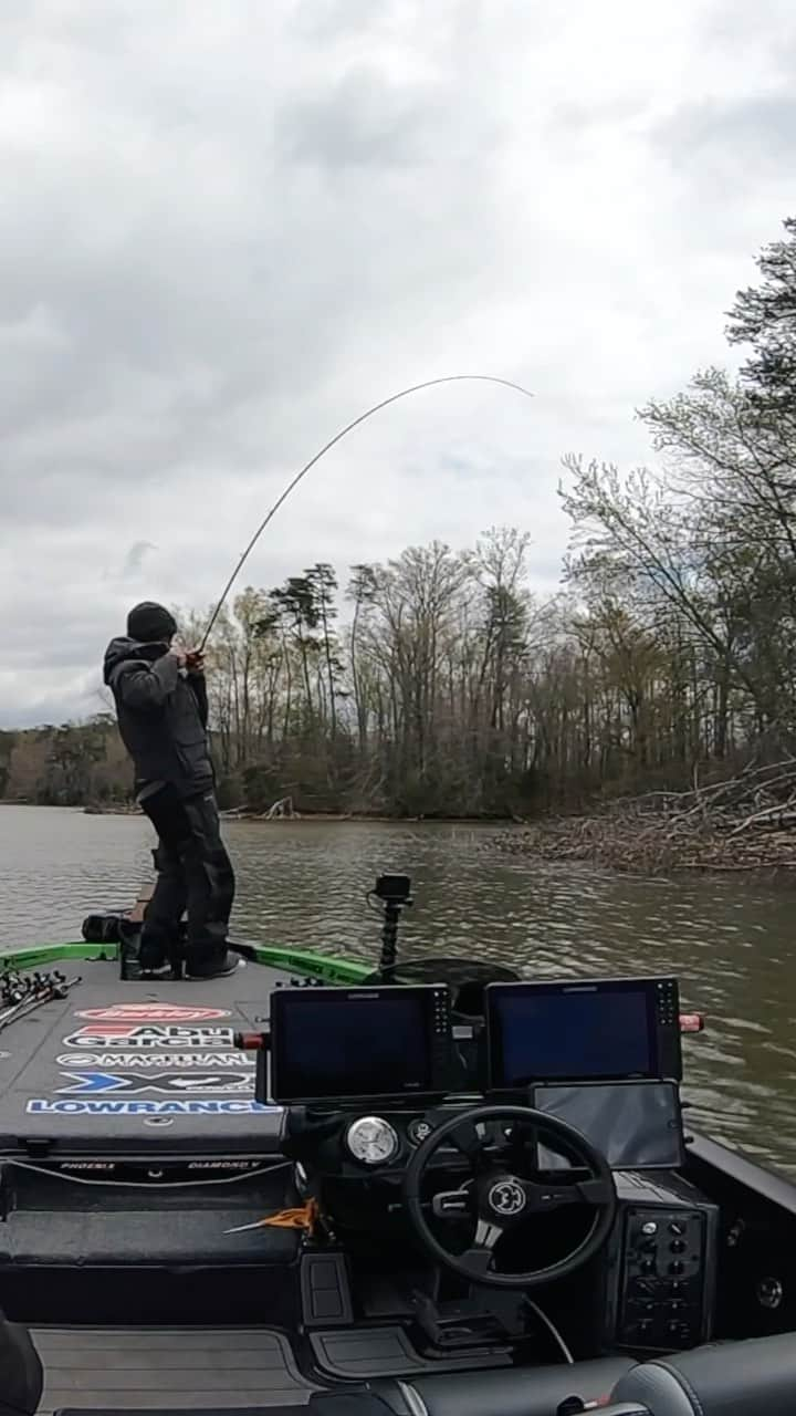 アブガルシアのインスタグラム：「Flipping laydowns is a great way to find some big bites all throughout the year💥 & the @huntershryockfishing Pro Series Flipping rod is the perfect tool to maximize success on every cast. Who’s been pulling some nice ones out of laydowns this fall?   #abugarcia #fishtowin #proseries #fishing #bassfishing」