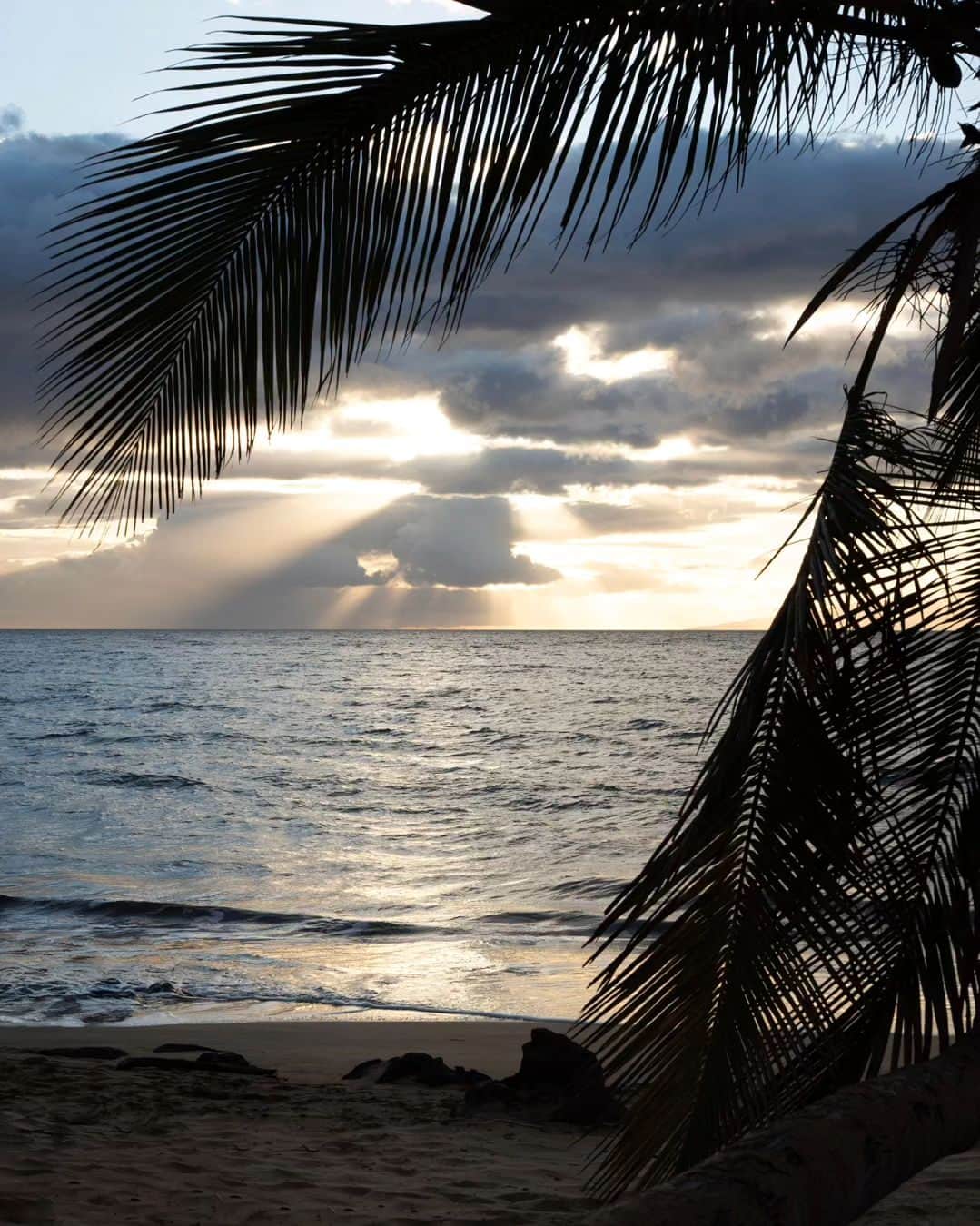 Maxi Hawaiian Jewelryさんのインスタグラム写真 - (Maxi Hawaiian JewelryInstagram)「内側に手彫りの柄を施したラウンドウォッチの新作、Wana' ao(ワナ・アオ)とLaniakea(ラニアケア)。  「ワナ」は光線、「アオ」は夜明の意味で、まだ辺りが暗い夜明け時、静かな海の上に青い光が射してくる一瞬を、艶やかなブラックとブルーで表現しました。  「ラニアケア」は、「ラニ(天国)」と「アケア(広大)」が合わさった言葉。どこまでも広がる、ハワイの明るく透明感のある空を、シルバーと淡いブルーで表現しました。  ユニセックスでお使いいただけますので、ペアでのご使用もおすすめです。  #maxi #maxihawaiianjewelry #hawaiianjewelry #hawaiianheirloom #hawaii #hawaiian #aloha #present #gift  #marriagering #マキシ #マキシハワイアンジュエリー #ハワイアンジュエリー #ハワイ #ハワイアン #アロハ #プレゼント#ギフト #お守りジュエリー #ペアウォッチ #ウォッチ #watch」12月13日 8時18分 - maxi_japan_official