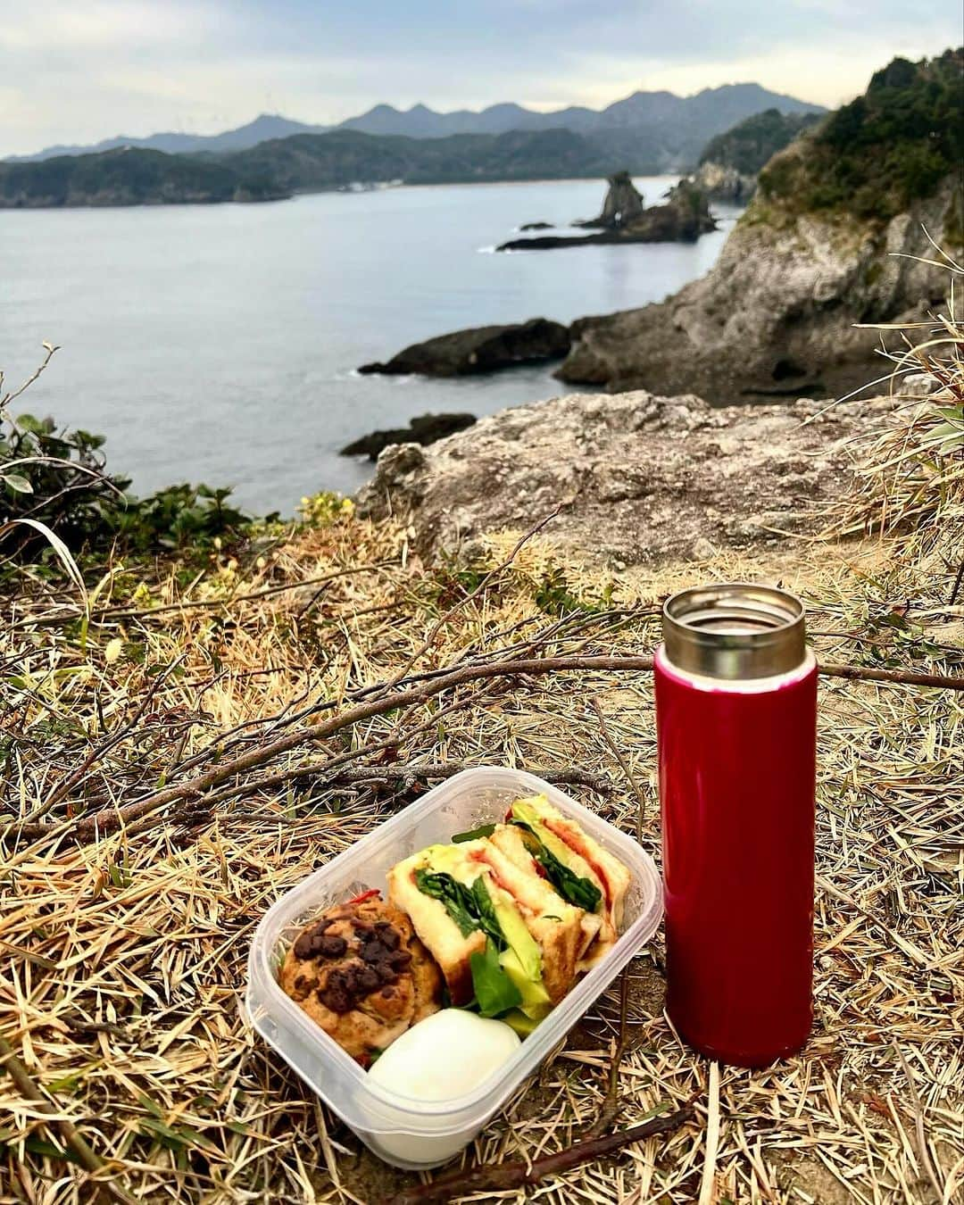 美波さんのインスタグラム写真 - (美波Instagram)「Last time, I had a wonderful experience during my morning routine... I got up early, packed a picnic box and headed out for a hike. I had the pleasure of having breakfast at the top of the hill (it wasn't too high). Then I had the pleasure of starting to write my journal... It was an amazing experience to re-center myself at the top of the mountain. Then I jumped into the ocean and had a swim... it was frozen but it felt like all the molecules had woken up. what a beautiful start to the day 😍 The more we observe nature, the more we can refocus. The more you melt into nature, the more every little bullshit in life starts to turn into nothing at all. I think I really need to feel more nature on those days.  この前、朝の日課で素敵な体験をした。 早起きして、ピクニック用のご飯を作り、ハイキングに出かけた。丘の頂上で朝食をとり（それほど高くはない）、それから日記を書き始めた。山の頂上で自分を見つめ直すことって今まで中々なかったから本当にいい経験だった。 それから海に飛び込んで泳いで...凍ったけど、すべての分子が目覚めたような感じがした。美しい一日の始まりだった。 自然を観察すればするほど、自分の軸とコネクトできる。 自然の中に溶け込めば溶け込むほど、人生における些細な戯言が何でもなくなる。 もっと自然を感じたいと思う今日この頃です。」12月13日 9時11分 - minamimanim