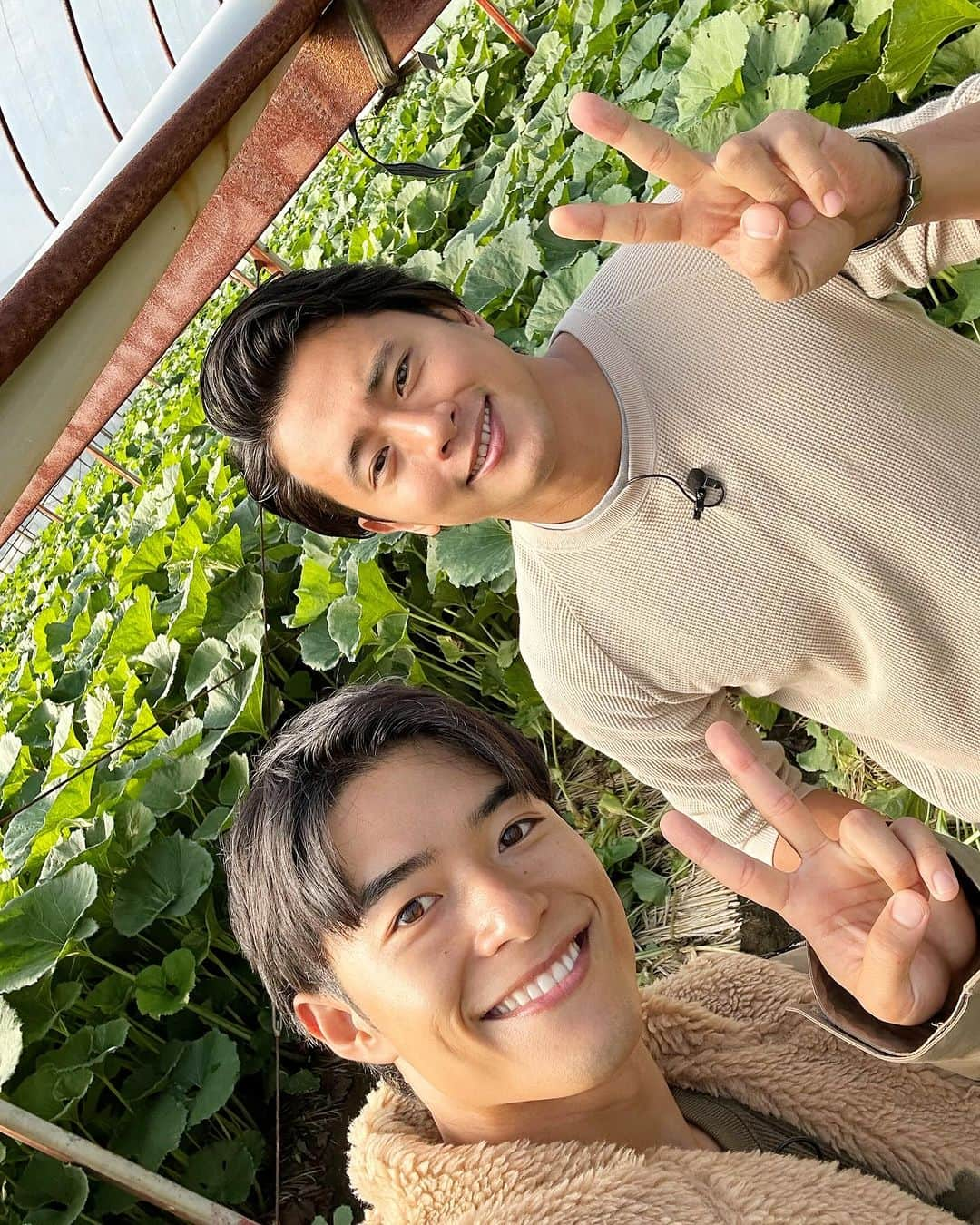 池田航のインスタグラム：「本日もZIP！見てくれてありがとう😍 愛知県は  #フキ の名産地！🌿 香りもめちゃくちゃいいし、食感も最高✨️  寿司ケーキに大変身させました🎂🍣   今日も素敵な食材と暖かい現地の方達との出会いに感謝💓   次回もお楽しみに☀️  朝お仕事で見られない方に、旅するエプロンTikTokが開設されました！ 【旅するエプロン】でTikTok検索すれば見られます✨️ ぜひフォローよろしくお願いいたします😍  #ZIP #旅するエプロン #スピッツ #Spitz #ZIPファミリー  #水卜麻美 さん  #池田航  @kohcooking    #伊藤楽  @gaku_jh122」