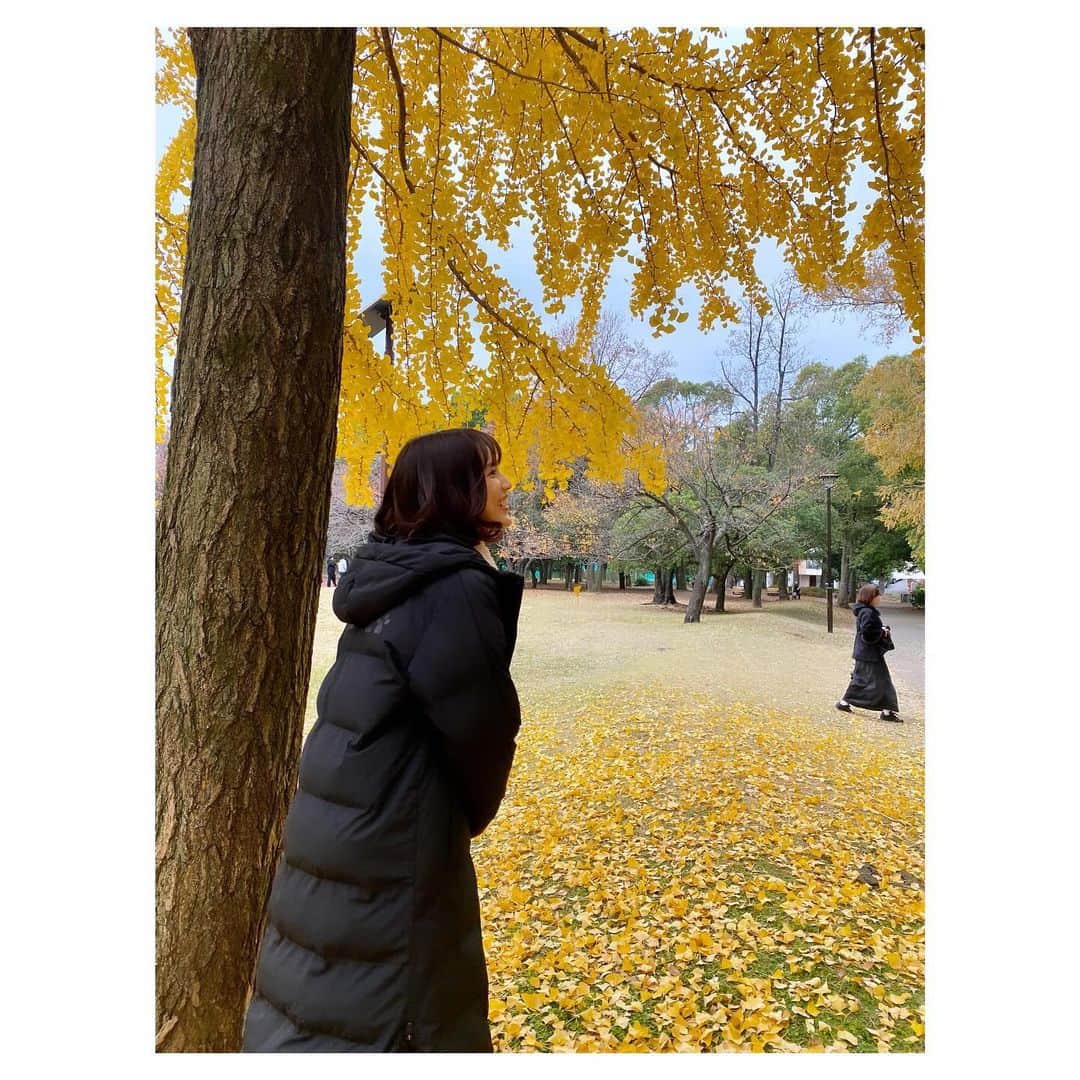 今泉マヤのインスタグラム：「ひとつ、、撮影が終わりました。 素晴らしきご縁に感謝です。  遅く散るイチョウの木のしたで☺︎  さあ 年末までラストスパートだ 🐇❤️‍🔥」