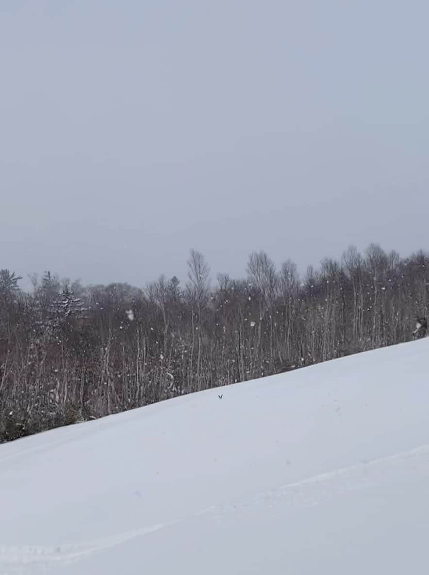 藤原ヒロシのインスタグラム：「さっぽろこくさい」