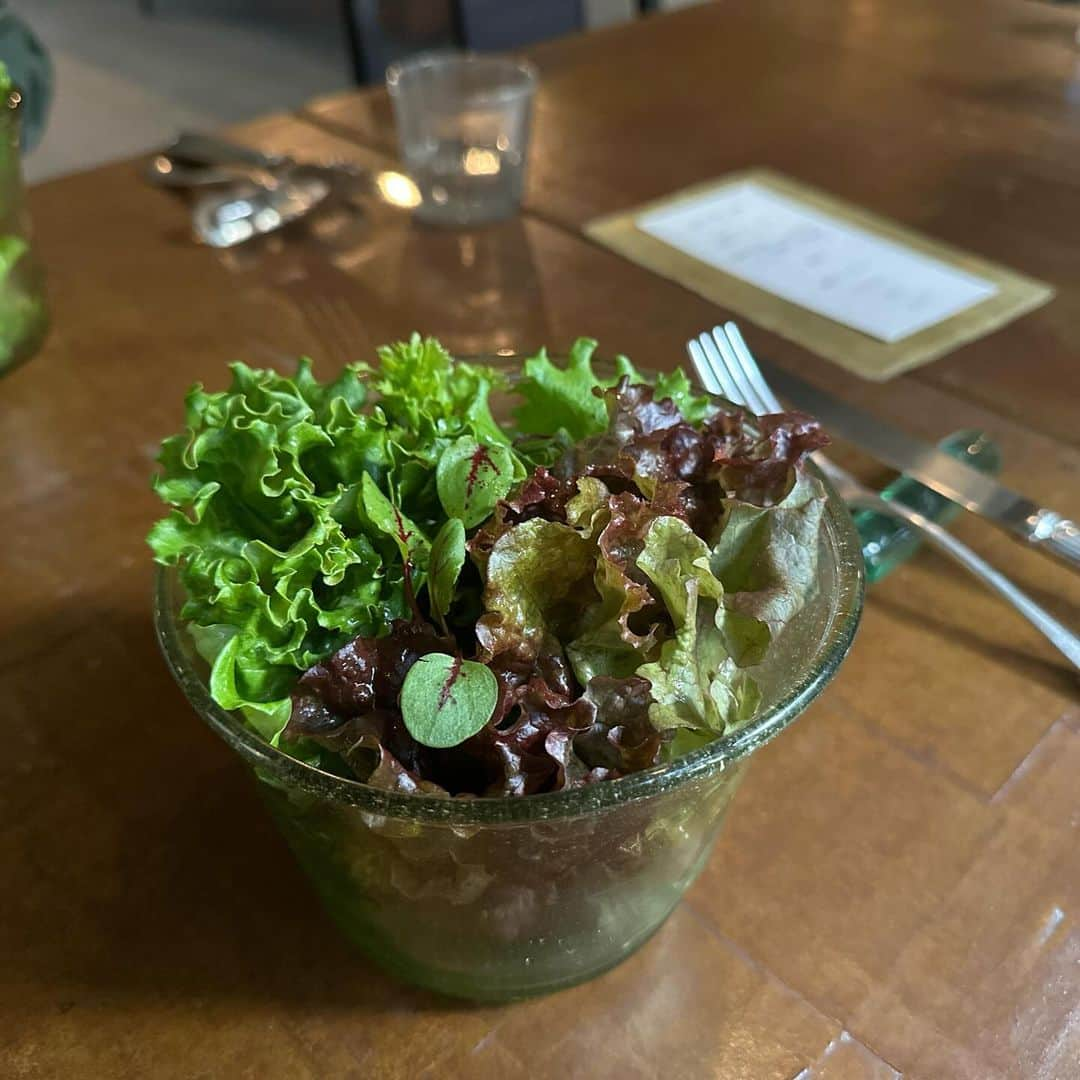 栗原友さんのインスタグラム写真 - (栗原友Instagram)「先日宿泊した @log_onomichi のお食事は、細川亜衣さんが監修。夜も朝も全てのお料理が素晴らしく、思い出に残るメニューでした。 レストラン内が暗くてお料理が見えないのが非常に惜しい。周りに他のお客様がいなかったので思わず携帯のライトを照らしてしまったけど、細川さんの緑のスープはとても深い緑色で美しかったです。真っ白の世界のお鍋も美味しかった。 私の知り合いであいさんの友達、ぜひ伝えて欲しい。 『鬼ゴリ爆裂美味しかったです』と！ 有名な料理家さんの料理を食べる機会はなかなかないものだけど、こんな形で食べることができてとても嬉しかった。そのあと出かけたスナックも凄くたのしかったのであります。」12月13日 11時58分 - kuri__tomo