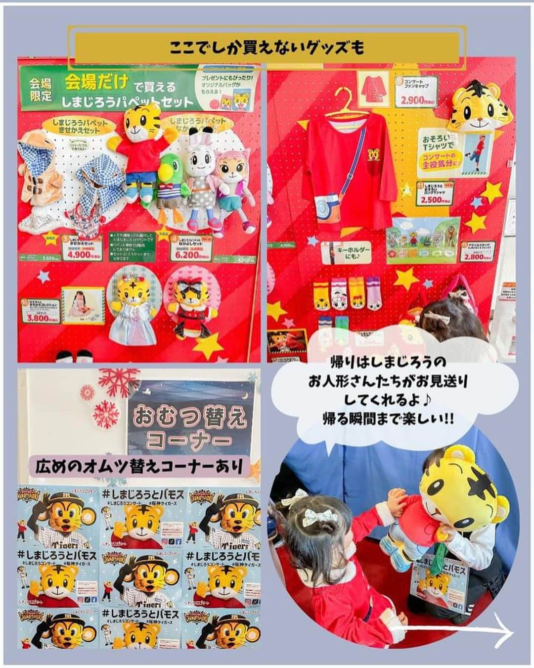 こどもちゃれんじ【公式】さんのインスタグラム写真 - (こどもちゃれんじ【公式】Instagram)「【トラッキー⚾️＆しまじろう✨奇跡のコラボ‼️】 今週末12月17日（日）の大阪オリックス劇場で開催の「しまじろうコンサート」会場に、なんと‼️2023年度日本シリーズ⚾️で日本一になった記念に阪神タイガースのトラッキーがやってきます🎉 当日は、コンサートが始まる前にしまじろうといっしょに 「六甲おろし」と「せかいはパラダイス」を歌って踊ってくれますよ😍‼️ さらに、調子が良かったらトラッキーが得意なアレとかアレを舞台の上で見せてくれるかも⁉️ 余裕をもって開演時間の30分前（開場時間）に間に合うように会場に来てくださいね☺️  今回は、@mommy_trip_kansaiさんとのタイアップ投稿をご紹介します！ 𓂃◌𓈒𓐍 しまじろうの クリスマスコンサート2023🎅  行ってきたよ❣️  参加者には当日全員 キラキラスターが貰えて、 スターを使って一緒に参加する 参加型の舞台だから 会場が一体となって楽しめて ほんとに凄かった!!☺️✨  子供も楽しんでたけど、 私もしまじろう世代だから 子供と同じレベルで楽しめたよ  ハッピーじゃむじゃむ最高って 案外歌詞覚えてて しっかり歌ってた🥹  今年はキャラクターが客席登場復活! 端っこの席なら運が良ければ ハイタッチできるかも  我が家ははなちゃんと、 とりっぴーとハイタッチできたよ♪  今回はなんと!!阪神タイガースの 日本シリーズ2023優勝を記念して 阪神球団のマスコットトラッキーが ゲスト出演!!  しまじろうとトラッキーの コラボが見られるなんて凄くない？😳  トラ×トラコンビ めちゃくちゃ可愛かった🥹  しまじろうのコンサートで 六甲おろしを会場のみんなで 歌ってる雰囲気面白くない？笑  12/17(日)オリックス劇場にも トラッキーが来るよ!! こんな機会次いつあるか分からないから ぜひ会場に足を運んでみてね♪ 𓂃◌𓈒𓐍  しまじろうとトラッキーの奇跡のコラボをお見逃しなく❣️ くわしい開場時間はストーリーまたはハイライト【コンサート】のリンクからチェックしてくださいね🎶 チケットは好評発売中です👏 合言葉は『 #しまじろうとバモス 』‼️ しまじろうやトラッキーや会場のお友だちみんなと歌って、踊って、参加型のコンサートでもめいっぱい楽しんで、素敵なクリスマスの思い出をつくりましょう🎄🎶  #しまじろうとバモス#トラッキー#阪神タイガース#しまじろう　#こどもちゃれんじ#しまじろうコンサート#しまじろうコンサート2023#クリスマスコンサート#しまじろうときらきらぼしのクリスマス#クリスマスソング#クリスマスメドレー#クリスマス#無料#限定#こどもちゃれんじEnglish#しまコン#しまコングッズ#しまコンデビュー#コンサートデビュー#冬のおでかけ#ファーストコンサート#みみりん#とりっぴい#にゃっきい#はなちゃん#ガオガオさん#小川真奈#まなおねえさん#子連れおでかけ#こどもとおでかけ」12月13日 12時21分 - kodomochallenge