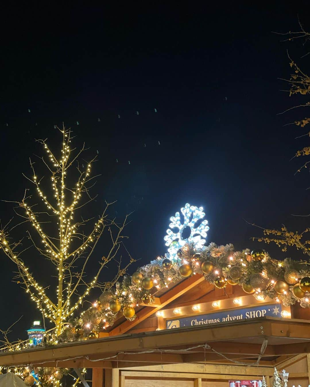 ハンナミのインスタグラム：「Christmas Market ✨🎠🎄  ホットココア飲みたかったけど 長蛇の列で断念 🫨」