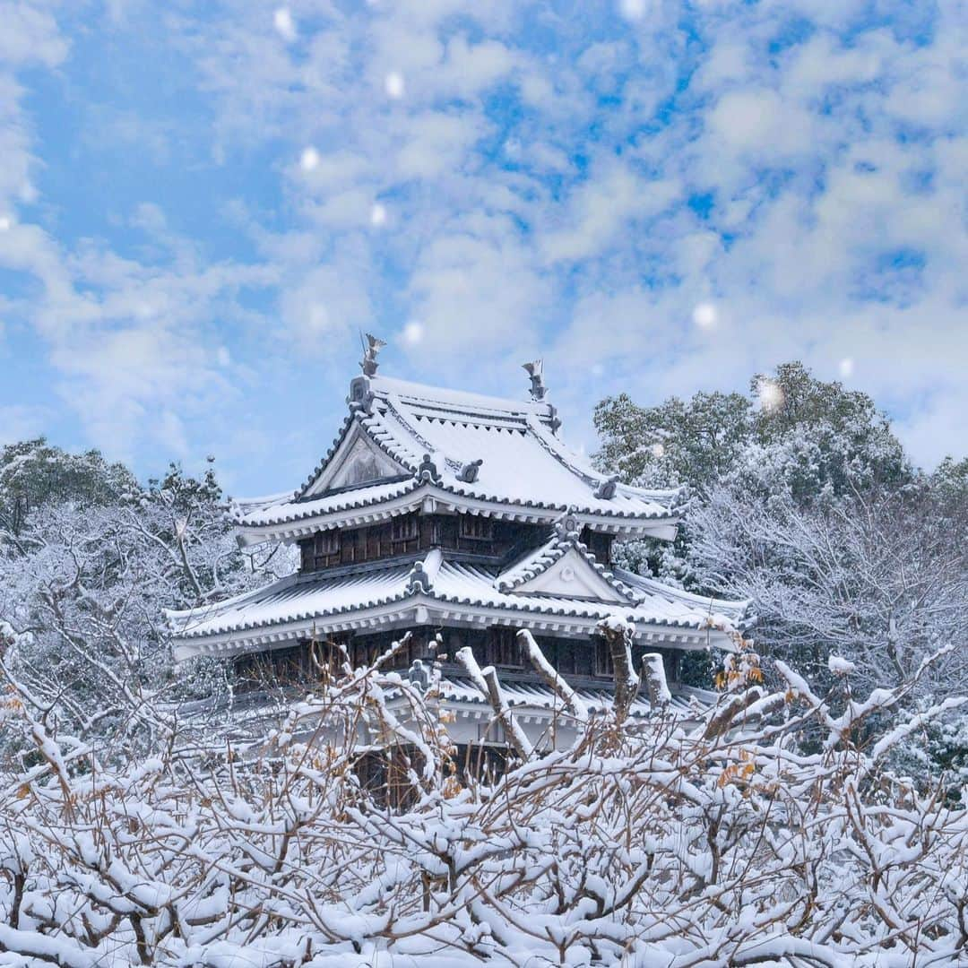 JALさんのインスタグラム写真 - (JALInstagram)「. 日本らしさを感じる雪景色 愛知県 #西尾城 🏯 #DramaticDecember . . Photo by @japan_umi Post your memories with #FlyJAL  #JapanAirlines #JAL #travel #愛知 #愛知観光 #西尾市 #冬 #お城 #お城巡り #冬の風景  #雪景色 #冬旅 #絶景 #絶景スポット #日本 #日本の絶景 #日本の風景 #国内旅行 #旅行 #日本航空」12月13日 17時30分 - japanairlines_jal