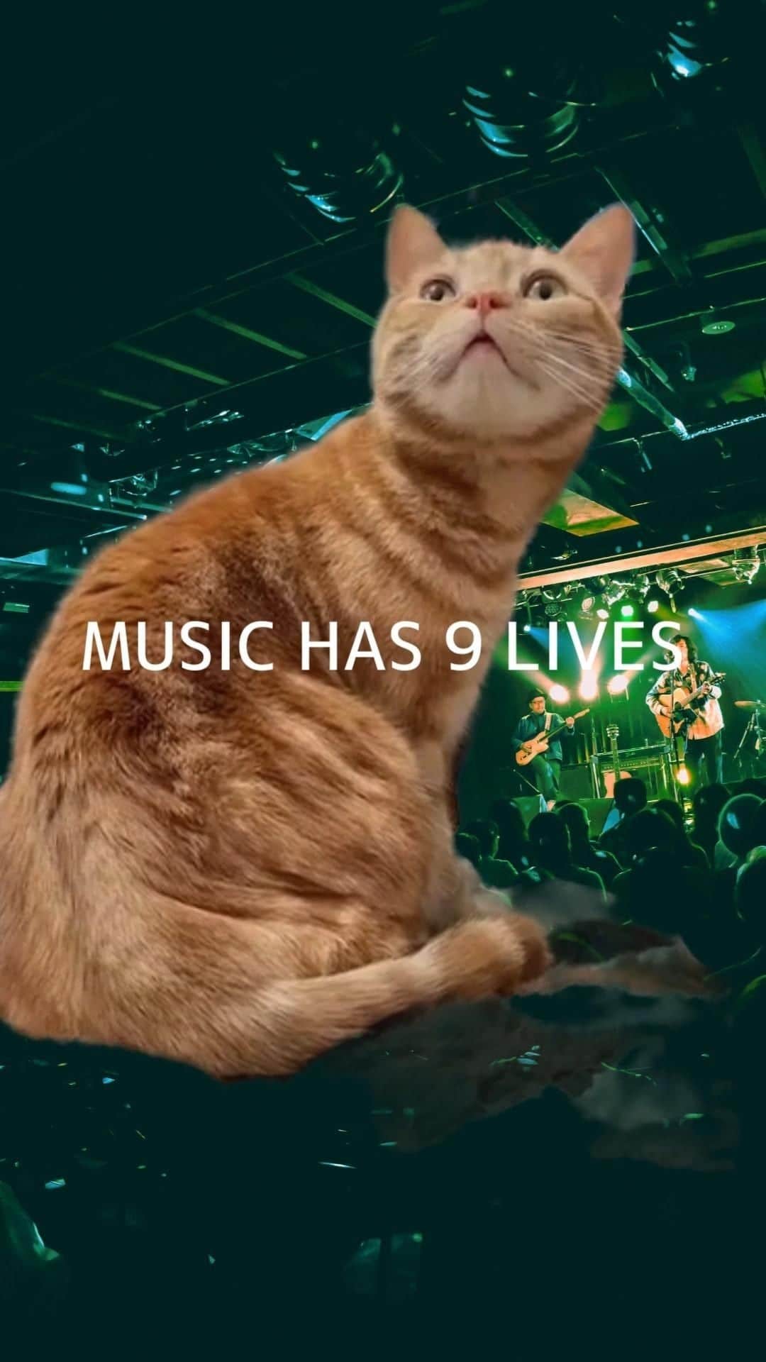 広沢タダシのインスタグラム：「※【EP『Music has 9 lives』曲解説】#2  ＜M2:Music has 9 lives＞  「猫はしぶとい」という意味のことわざ「A cat has 9 lives」から、”cat”を”music”に置き換えてみました。  音楽はしぶとい。音楽は死なない。  一読すると抽象的な歌詞ですが、”死んでも生きる”というテーマに繋がる何かを、聴き手に想起させるイメージで書いています。  フォーク、カントリースタイルのアコギにガットギター、オルガンを重ねました。 ーーーーーーーーーーーーーーーーーーー music has nine lives  ヘタクソでも美しい 世界は思ったよりやさしい 手放すことが難しいよね 夜が迎えに来たって  死んだ後ようやく生きる 公園をこしらえるように 知らずに子どもたちが遊ぶ ママを呼ぶ声がする  嘘でもいいや歌ってみろよ 本当になるかもしれない 消えてゆけ魂の中に 誰のせいでもないまま 僕らが生きるために ーーーーーーーーーーーーーーーーーーー 広沢タダシ　New EP『Music has 9 lives』 ¥3,000-（tax in） オンラインショップにて。サインして送ります！＾＾ https://hirosawa.theshop.jp/  広沢タダシ 弾き語り Tour 2024〜春の使い〜 チケット予約受付中！ ＜大阪＞2月4日(日) 島之内教会 ＜東京＞2月10日(土)三軒茶屋GRAPEFRUIT MOON https://www.hirosawatadashi.com/schedule」