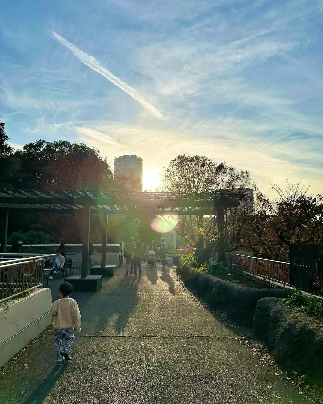 青山あみさんのインスタグラム写真 - (青山あみInstagram)「Beautiful day🍂🍁🌲」12月13日 17時58分 - aoam____i