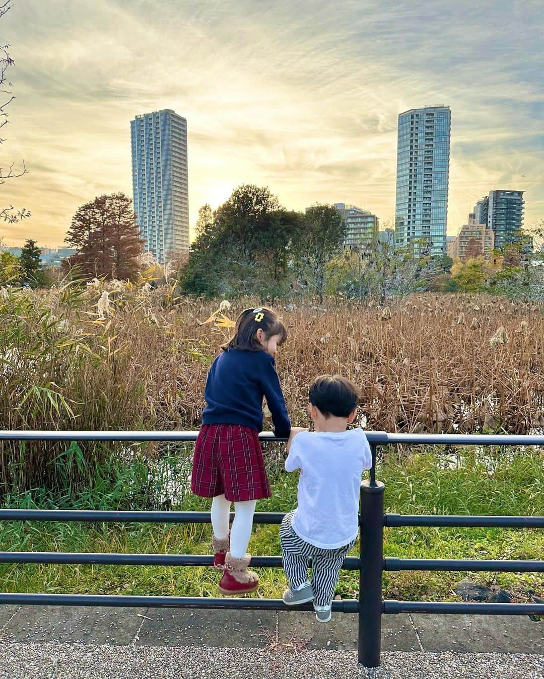 青山あみさんのインスタグラム写真 - (青山あみInstagram)「Beautiful day🍂🍁🌲」12月13日 17時58分 - aoam____i