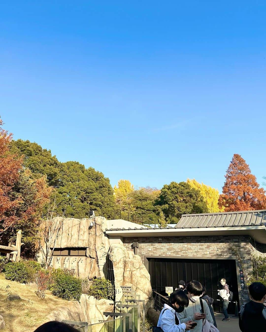 青山あみさんのインスタグラム写真 - (青山あみInstagram)「Beautiful day🍂🍁🌲」12月13日 17時58分 - aoam____i