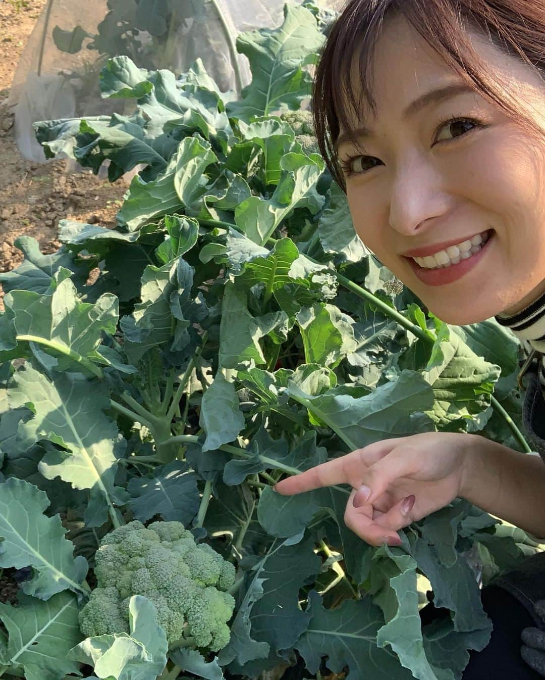 速水里彩さんのインスタグラム写真 - (速水里彩Instagram)「私の今年の漢字は 『恵』✨  スイッチファームを通して、 "自然の恵" を存分に体感できた一年🌱 大地の力、太陽の光や雨の有り難さ。 暑さや寒さが厳しいながらも 力強く成長してくれた野菜たち🥦🍆❤️  今年を振り返った時に絶対に欠かせない体験です✨  いまは冬野菜がどんどん育っています！ はやく皆さんと収穫したいなぁ🌟 スイッチHPから🍚朝ごはん大作戦🍴募集中です！ お待ちしています✨  .  #東海テレビスイッチ #いっしょにアップデート #カーメン君 #朝ごはん大作戦　 #スイッチファーム #畑 #農作業 #速水里彩 #アナウンサー」12月13日 18時05分 - hayami.risa