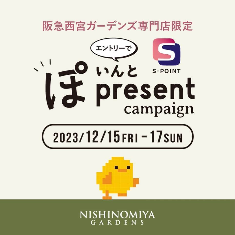 バッグンナウンのインスタグラム