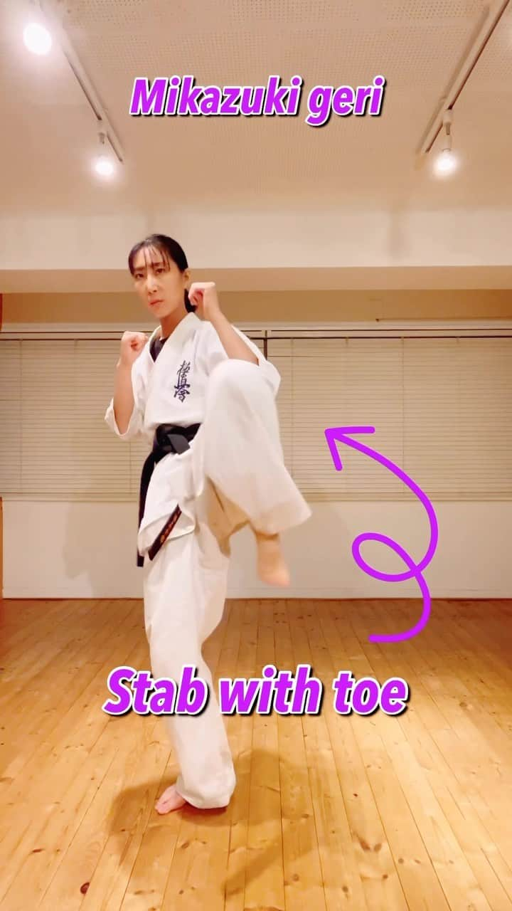 浜井美香のインスタグラム：「#kyokushin #karate #martialarts #kick #kumite #warrior #karatekid #Киокушин  #каратэ #空手 #تمرين  #japan」