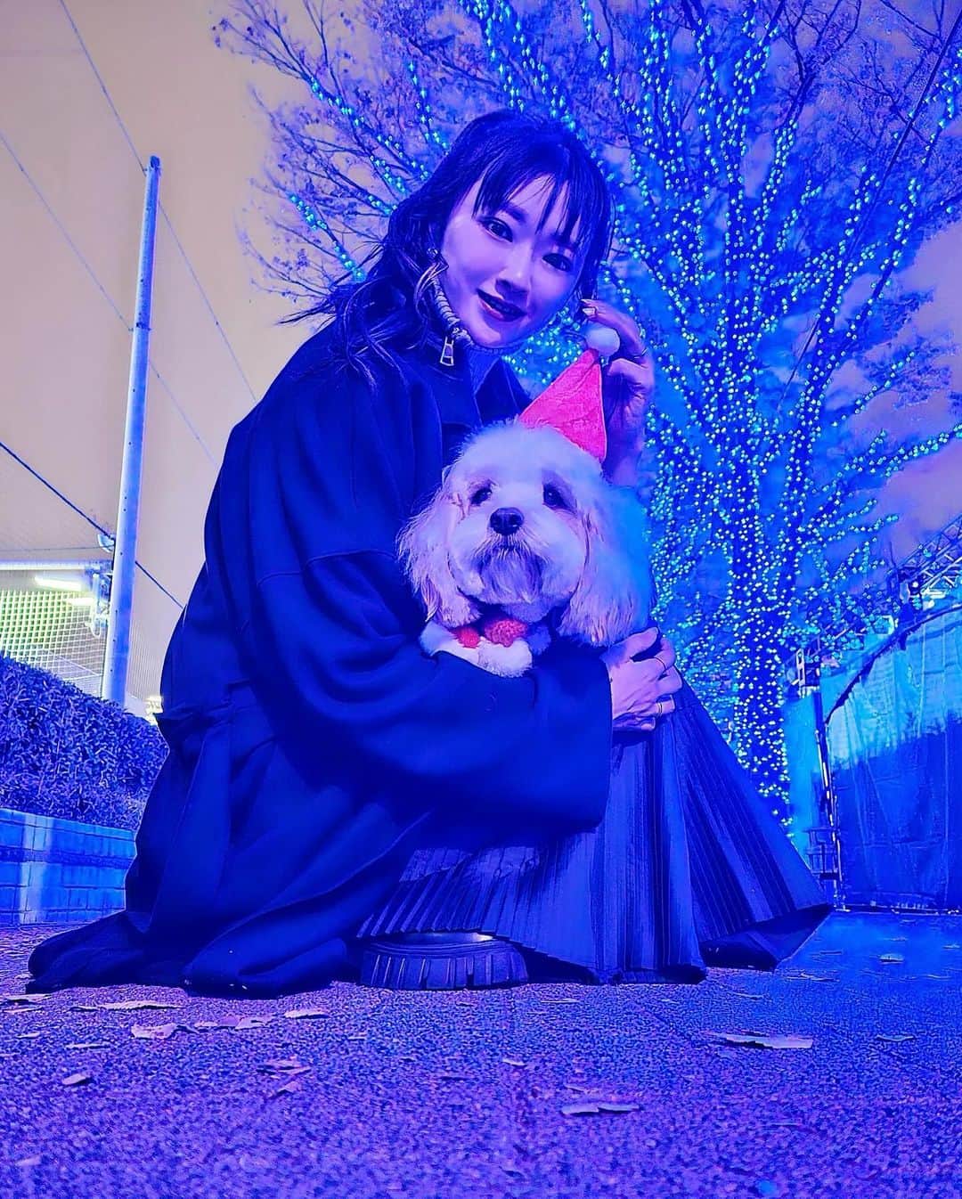 あんちゃんさんのインスタグラム写真 - (あんちゃんInstagram)「あんサンタ🎅🏻🐾  １２月に入って 街もすっかりクリスマスムード🎄  私たちも先日 ずっと行ってみたかった『青の洞窟 SHIBUYA』に イルミネーション見に行ってきました💖  せっかくなので あんちゃんもクリスマス仕様に🎅🏻✨  に、似合うぅぅぅ🥹💕  Galaxy Z Flip5のカメラだと 夜イルミネーションの中でも ちゃんと写真が撮れるのがありがたい👏  そしてツーショットが撮りたい時も Flip5を地面に置いて 手のひらシャッターを使えばラクラク✌️  便利で助かるっ😚🎶  ちなみにお出かけ前には あんサンタとモチモチトナカイが 仲良くおやつ食べてる動画も撮ったよ🐶👶🏻  …あんちゃん最後 モチモチのおやつ奪ってるけどね🤣🤣  ジャイアニズムは 兄になった今も健在です。笑  人が集まるところが好きなあんちゃん いっぱい声もかけてもらって 終始ルンルンハイテンション🙌  疲れたのか帰宅後はもうオネム💤  ネムネムなあんサンタが可愛くて それも動画におさめました🤣💘  おじいちゃんみたいで 表情までサンタに寄ってた🎅🏻 かわいい。笑  てことで今回のフレックスウィンドウは あんサンタを待ち受けに設定したよ🐶⭐️  時計の色をグリーンに設定して 赤のコスチュームとあわせて クリスマスカラーにした🎄❤️  お気に入り🥰  #AD  #TeamGalaxy  #GalaxyZFlip5  #withGalaxy  #Galaxyのある生活  #JoinTheFlipSide  #キャバションあんちゃん #あんちゃん　 #キャバション」12月13日 18時59分 - anchan_0115_andy