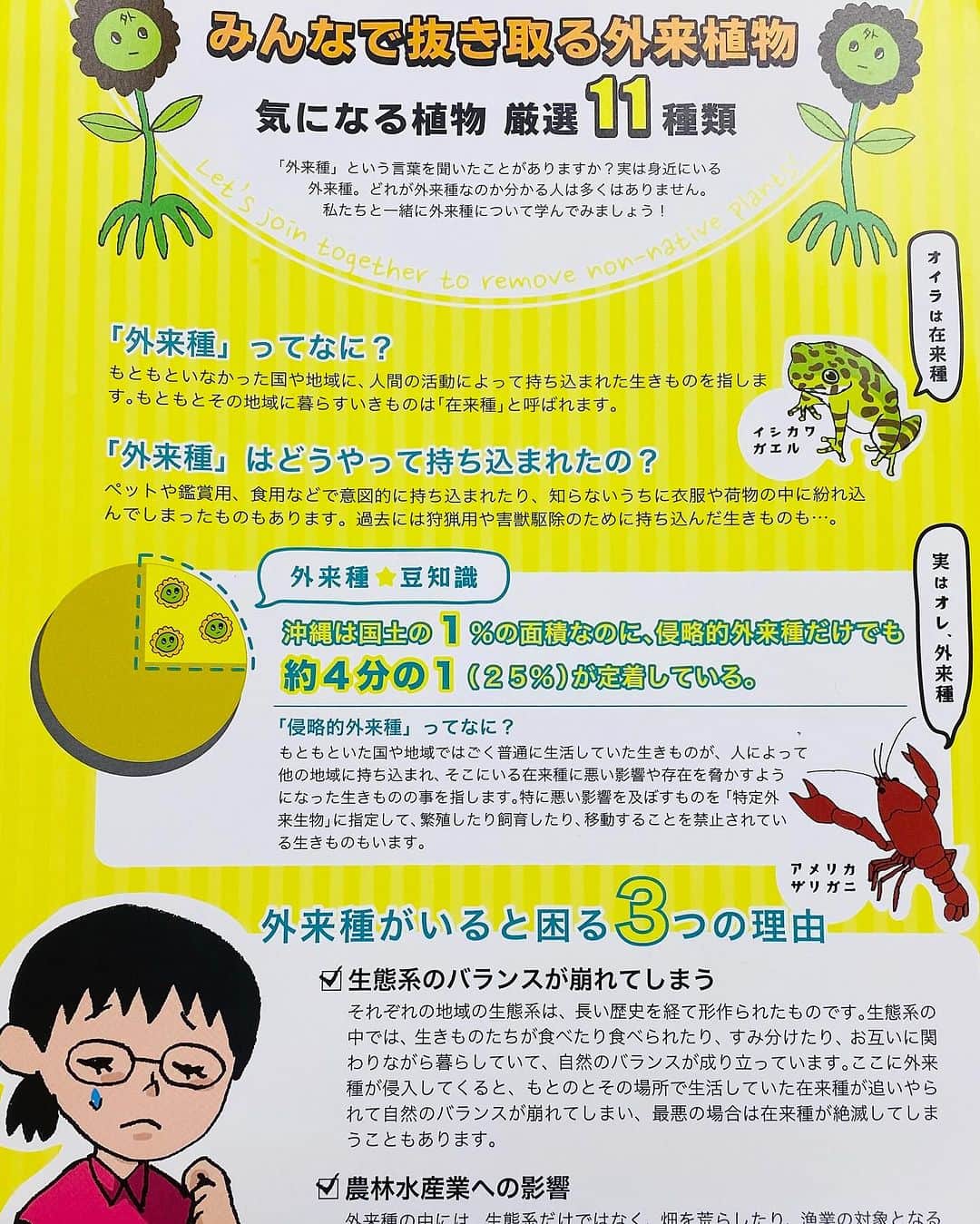 おきなわLikesのインスタグラム：「1つ前の投稿の 外来植物除草活動について、 パンフ掲載させて頂きますね☺️」