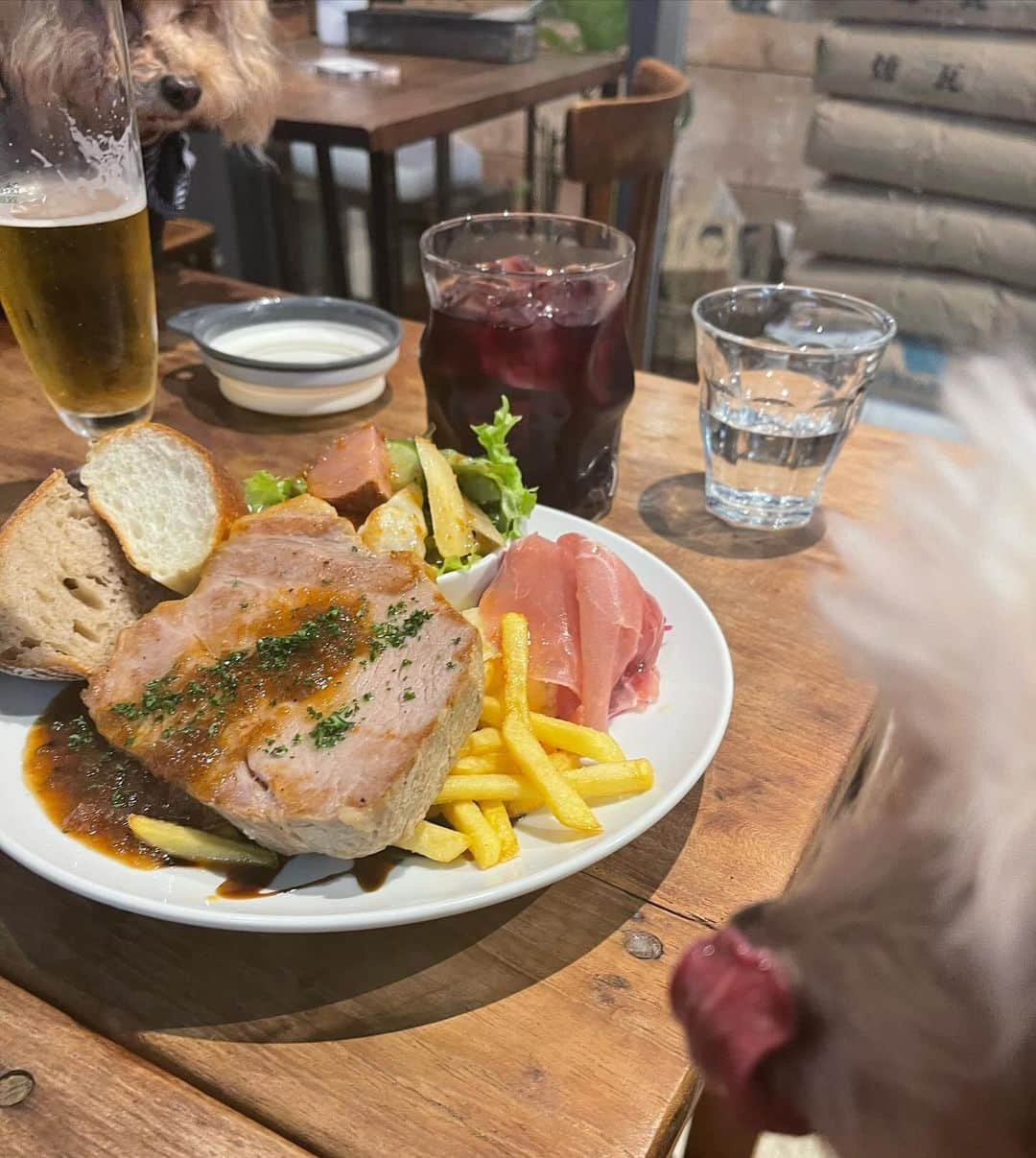 めあり(みい)さんのインスタグラム写真 - (めあり(みい)Instagram)「わんこと行けるご飯屋さん大好き🫶 ・ ・ #ビストロ#ビストロ料理 #犬同伴可 #犬ok #犬バカ部 #わんこのいる生活 #わんことお出かけ #犬と行けるお店 #犬と行けるカフェ #マルプー#ポメマルプー#犬の親子#テラスok #お肉プレート#カフェ巡り#ドッグカフェ#サングリア#美味しいご飯」12月13日 19時29分 - bokuwamus