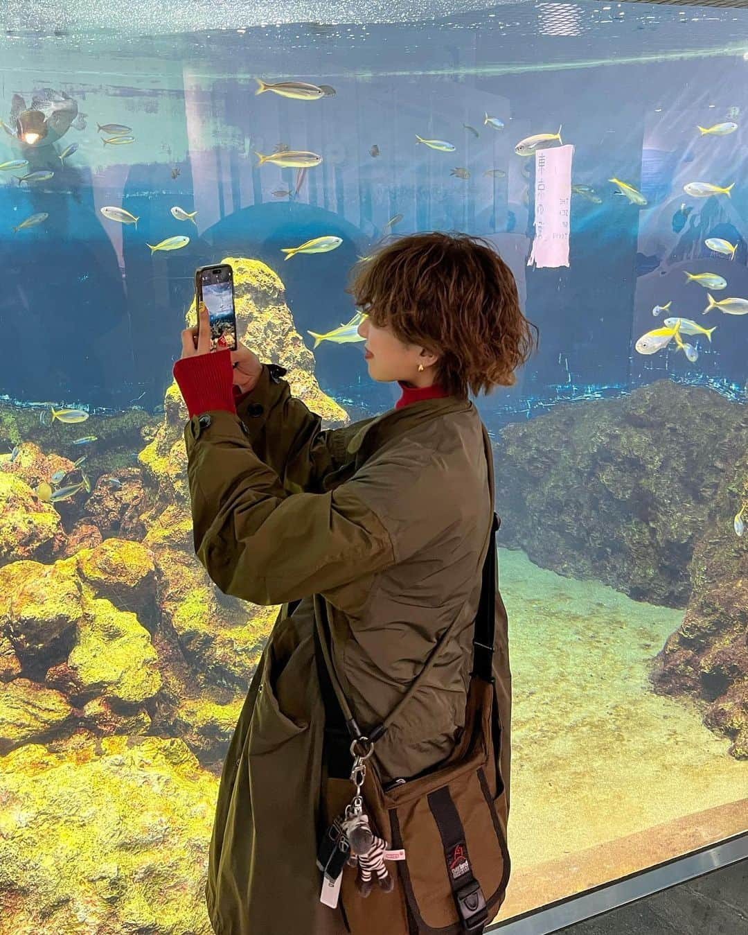 moeさんのインスタグラム写真 - (moeInstagram)「水族館か動物園に連れてってもらえると一生テンション上がってます^_^笑笑」12月13日 20時08分 - m____wip