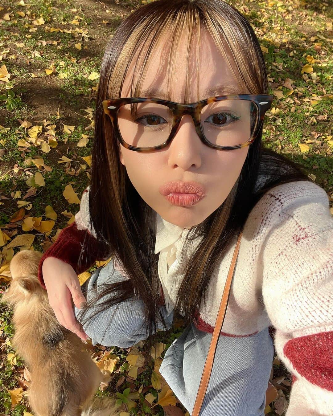 希帆さんのインスタグラム写真 - (希帆Instagram)「おさんぽDAY🧡🐕🍁 テーマ🍁 鶴見のテイラースイフト🍂🎤  犬 @satomi_shigemori  服 @newerajapan  靴 @eyarn.jp  ズボン @afgkコラボ　 メガネ @rayban」12月13日 20時08分 - k_i_h_o_