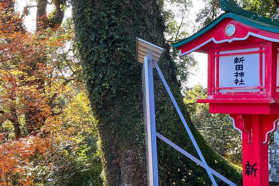 小西陽向さんのインスタグラム写真 - (小西陽向Instagram)「私が生まれた時にお宮参りした神社へ⛩️ いつも守ってもらってるからお礼を伝えに😌  ちょうど、七五三の時期だったみたいでカメラマンさんにお声掛けいただき撮影していただいた📷🍁 いい思い出になりました😊 . . . #神社巡り #新田神社　#薩摩川内市　#カメラ　#ポートレートモデル #紅葉　#モデル撮影」12月13日 20時35分 - hinata713