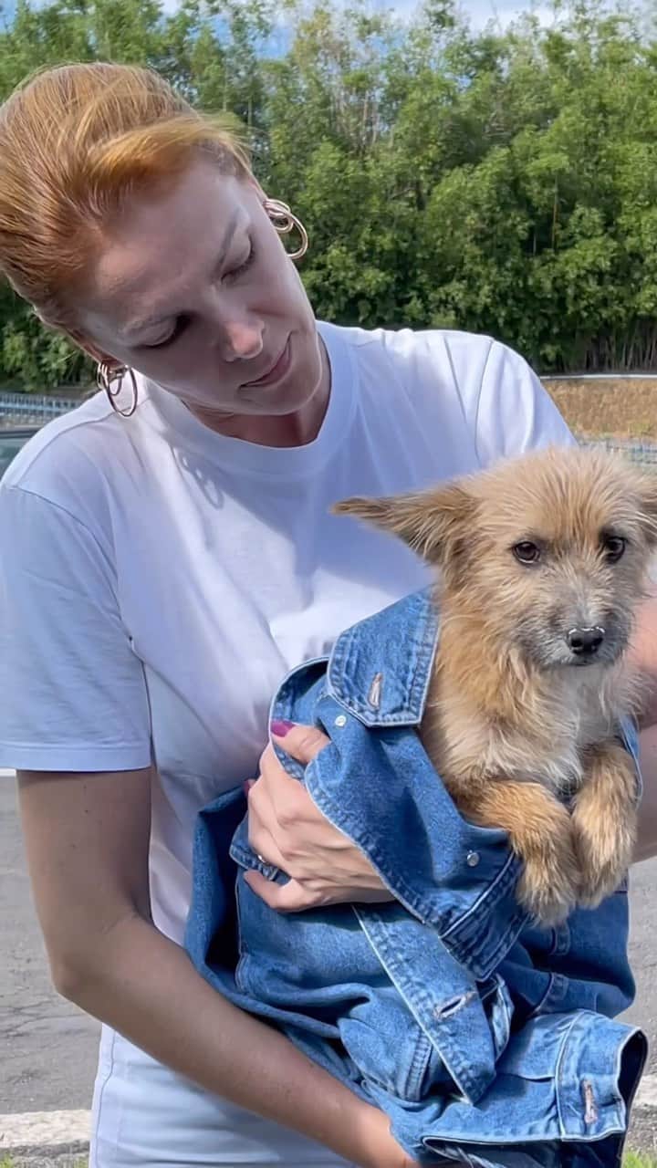 Ana Hickmannのインスタグラム：「Quem aqui se lembra do dia em eu resgatei o Joaquim??? 🥰 Nem dá pra dizer que esse menino quieto, magrinho e assustado no ponto de ônibus é o mesmo que vive feliz aqui em casa. Dezembro 💚 é o mês da conscientização contra o abandono de animais e eu vim aqui fazer um apelo para que todos cuidem e protejam os bichinhos, principalmente nessa época do ano em que infelizmente o abandono aumenta muito. O resgate e o primeiro atendimento veterinário podem salvar a vida dele, assim como aconteceu com o Joaquim 🐾. A @inovahospitalveterinario funciona 24h e está preparada para receber esses amores!!! 🏥  #dezembroverde #joaquim #resgateanimal #amor #inovahospitalveterinario #adoção」