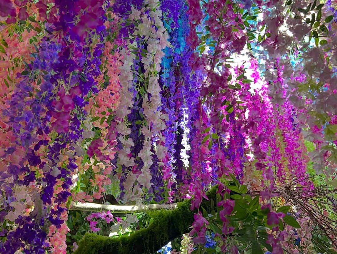 水春（ukka）さんのインスタグラム写真 - (水春（ukka）Instagram)「花に満たされた💐」12月13日 20時58分 - 25mizuha06