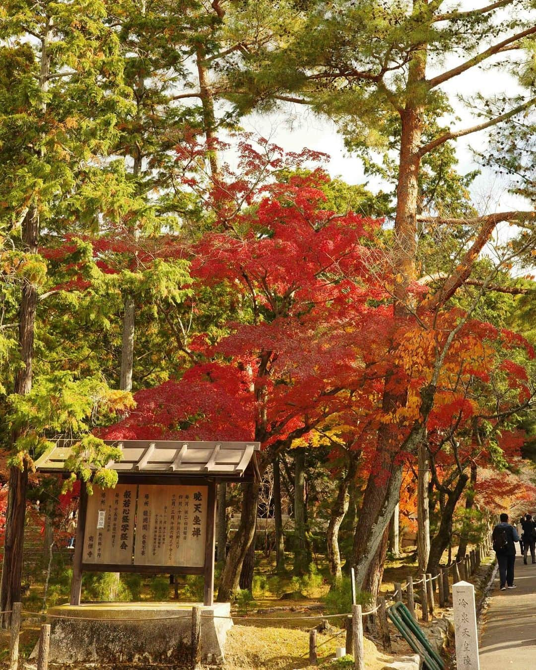 神田希未菜さんのインスタグラム写真 - (神田希未菜Instagram)「. 南禅寺付近をお散歩🚶‍♀️🍂✨ 念願の大力邸でランチしてからブルーボトル☕️ 紅葉が綺麗で歩いてるだけで楽しかったな♡ 帰りのパーキング事件は忘れられないくらい面白い😇笑  さやちゃんが沢山撮ってくれたので色々載せてみる📸  #マタニティコーデ #南禅寺」12月13日 21時03分 - ___kimi3___