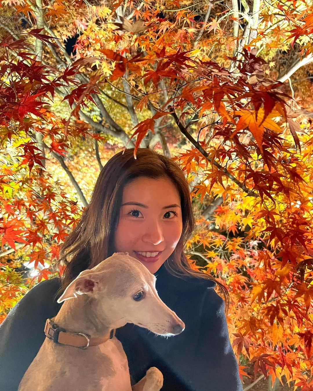 さくらさんのインスタグラム写真 - (さくらInstagram)「ギリギリ紅葉見に行けた先週末🍁 毎年見てるはずやのに 毎年感動する！ ⁡ 同じものを何回見ても、その時その時で色々感じるものは違うくて、感動するってことは 多分心が成長してる！！！(って思うようにしてる)😚 ⁡ ⁡ ⁡ #筋トレ#筋トレ女子#腹筋#腹筋女子#背筋#おしり#fitness#bodymake#homeworkout#bodycombat#hiitworkout #diet#healthylifestyle#gym#booty」12月13日 21時18分 - sakufitness