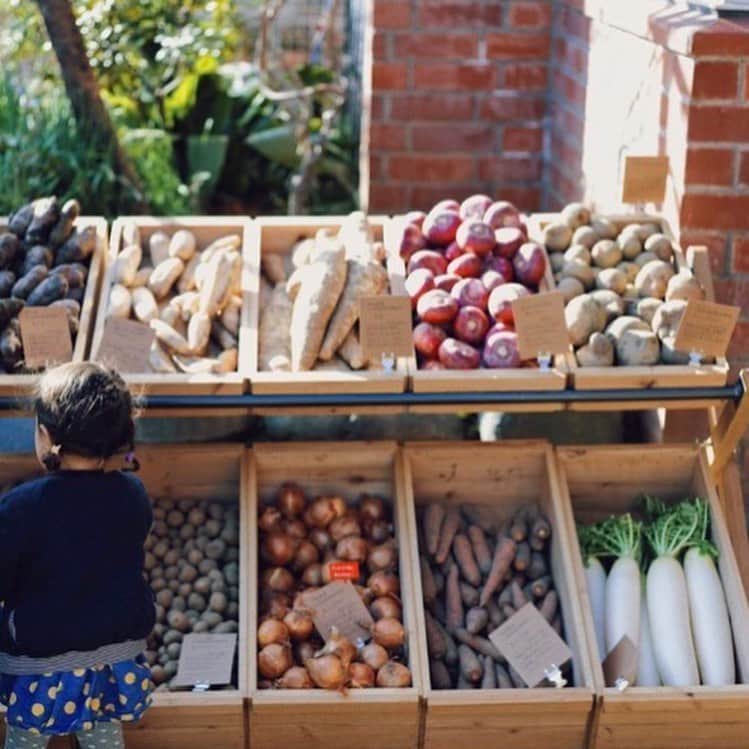 菊池亜希子さんのインスタグラム写真 - (菊池亜希子Instagram)「fofofofa MARKET通信〜🐣 🥔🍠🧄🎃🥕🍄 最終日の17（日）には、旅する八百屋〝ミコト屋〟さんが野菜とアイスを担いでやってきます🚚💨 @micotoya   ミコト屋さんと出会ったのは、もうかれこれ10年近く前なのかなぁ。まだ店舗を持たず移動販売をされていた頃、野菜を買わせてもらったのが最初。ずらりと並んだ野菜たちについて、物凄く嬉しそうに、誇らしく語るお兄さんたちの姿が印象的でした😊  それからマッシュのホームパーティー に出店していただいたり、雑誌『LEE』のさがしもの連載（こちらも是非読んでね🤍）で取材させていただいたり。店舗が出来てからは、しょっちゅう子連れでおじゃましています。  目の前に並ぶ野菜たちが、どこでどんな風に育てられたのか、どうやって頂いたら美味しいのか、あれこれおしゃべりしながらお買い物ができるってとてもありがたいし、自分がその野菜を買って食べることで、ぐるりめぐる輪の中に加われることも嬉しい。   話逸れますが、時の旅人を〝野菜〟の背景を想像しながら歌うと、また新しい感慨が湧いてきます。優しい雨に打たれ〜緑が蘇るようにララララ〜です🥲🌿✨歌って、本当にいいものですねぇ。  話戻しまして。 ミコト屋さんが作るアイス @kiki_natural_icecream も登場します🤤ミルクやチョコレートなどスタンダード系ももちろん美味しいのですが、野菜を使ったアイスはどれもムムム😳✨な美味しさです。 たまねぎとキャラメル、春菊と塩、ごぼう…その時々でフレーバーはどんどん変わるので、17日どんなラインナップがあるかは当日のお楽しみ😋  売れ残りや規格外、B品などネガティブな言葉を付けられ、はじかれてしまう野菜たちを、アイスクリームの力でポジティブに美味しく変換する🍨kikiのアイスを食べていると、いろんな顔や景色が浮かんで、なんだか駅伝のゴールテープになったような気持ちになります（箱根駅伝の季節ですね）。  週末は温かいのかな。どうかな。でも冬にぬくぬく温かい格好してアイスを食べるのって、いいですよね😚  ミコト屋さんの出店は最終日の17日のみですが、16（土）17（日）両日並ぶ @yawn__catering さんのお弁当には、ミコト屋さんのお野菜が使われているので、そちらも是非〜🤤  お弁当の予約受付中です！ （DMで直接ご予約ください）👇 @yawn__catering   お野菜もたっぷり入るマーケットバッグも、 @soak___ さんと共にせっせと準備中💪そちらも16.17日に並びます🛍  pop-upは本日もワクワク開催中ですよん。 お待ちしています😊✨ @the_tastemakers_and_co   #fofofofa_market」12月14日 8時18分 - kikuchiakiko_official