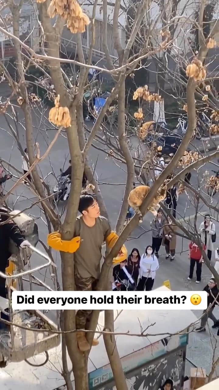 Cute Pets Dogs Catsのインスタグラム：「Did everyone hold their breath? 😮  Credit: adorable @ Howl（上网课版😋） | DY (*read note below) ** For all crediting issues and removals pls 𝐄𝐦𝐚𝐢𝐥 𝐮𝐬 ☺️  𝐍𝐨𝐭𝐞: we don’t own this video/pics, all rights go to their respective owners. If owner is not provided, tagged (meaning we couldn’t find who is the owner), 𝐩𝐥𝐬 𝐄𝐦𝐚𝐢𝐥 𝐮𝐬 with 𝐬𝐮𝐛𝐣𝐞𝐜𝐭 “𝐂𝐫𝐞𝐝𝐢𝐭 𝐈𝐬𝐬𝐮𝐞𝐬” and 𝐨𝐰𝐧𝐞𝐫 𝐰𝐢𝐥𝐥 𝐛𝐞 𝐭𝐚𝐠𝐠𝐞𝐝 𝐬𝐡𝐨𝐫𝐭𝐥𝐲 𝐚𝐟𝐭𝐞𝐫.  We have been building this community for over 6 years, but 𝐞𝐯𝐞𝐫𝐲 𝐫𝐞𝐩𝐨𝐫𝐭 𝐜𝐨𝐮𝐥𝐝 𝐠𝐞𝐭 𝐨𝐮𝐫 𝐩𝐚𝐠𝐞 𝐝𝐞𝐥𝐞𝐭𝐞𝐝, pls email us first. **」