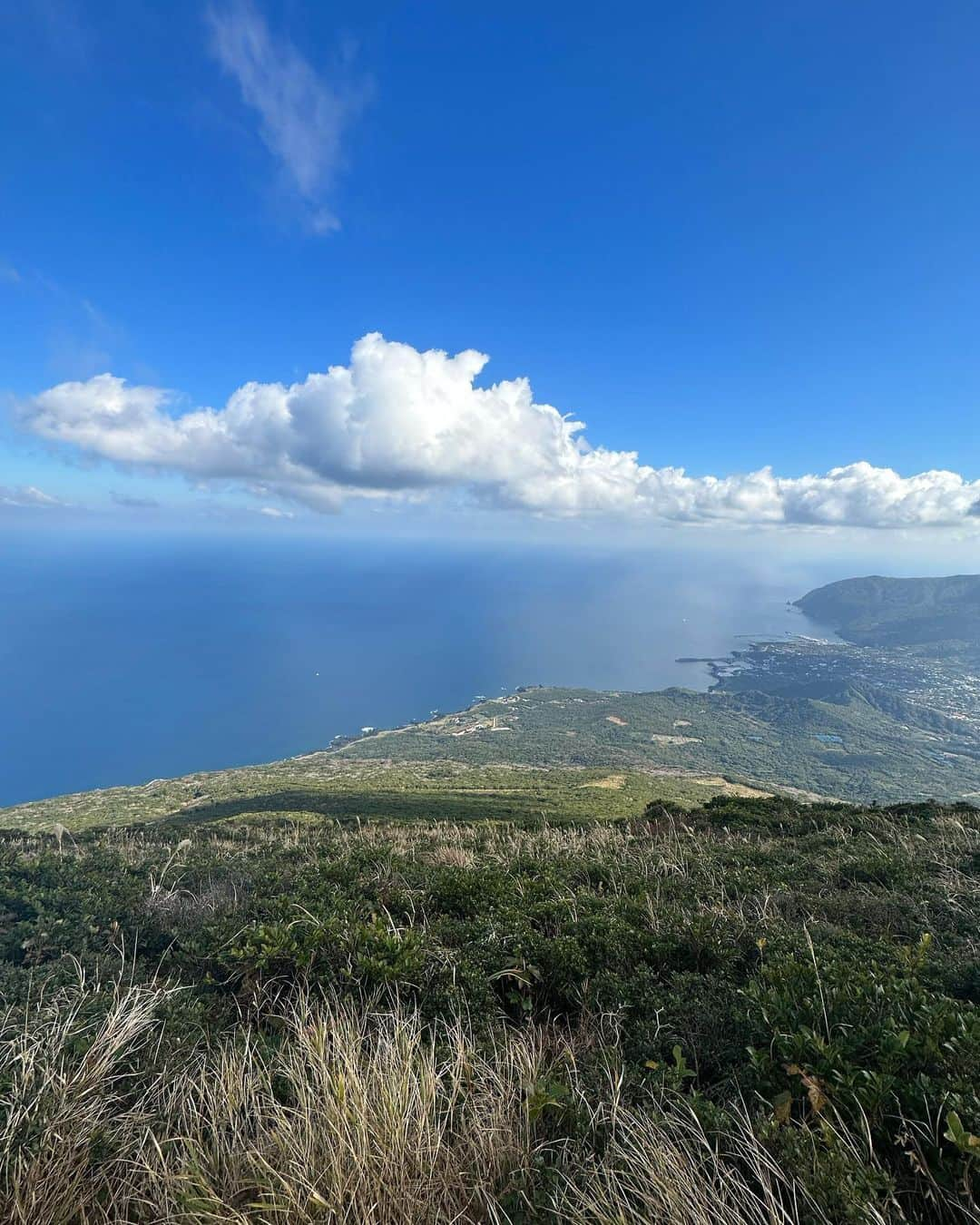 Ami さんのインスタグラム写真 - (Ami Instagram)「初めての八丈島🏝️ たまたま出会った人に、「君の名は」のラストシーンのモデルになった場所が山の頂上にあるよ！と教えてもらい せっかくならと、軽い気持ちで登り始めたのが失敗だった😨 想像の10倍キツく、スロープだと思ってた道が全て階段で、13キロの息子を皆んなで抱っこリレーしながらの登山⛰️ 1人でもギリギリのキツさなのに、、、男性陣には感謝感謝です。。 何度も心折れかけながらも到着した頂上からの景色は素晴らしかったけど、写真じゃなかなか伝わらないのが悔しいです😭 登りもキツかったけど、下りもなかなかのもので... 常につま先体重の、一段一段が高いうえにガタガタで降りるたびに膝に衝撃が走る階段。 下山しきった時、ちょっと泣きました😣 でも、終わってみると、皆んなで共通の思い出が出来た事も、それをやり切れた事も良かったなぁと思います🦵✨  急に始まった登山があまりにも強烈な思い出すぎて長くなってしまったけれど、 八丈島は思ってた以上にあったかく、食べ物も本当にどれも美味しかった‼︎ 郷土料理も美味しい物だらけで、名産のフルーツレモン🍋があまーくって、皆んなにも食べて欲しいなぁ。 あと、星がビックリするくらい綺麗だった！🌠 5分間で流れ星3つ見たよ‼︎‼︎ 海の上にキラキラ光る星達が幻想的であの景色、また観たいな〜。 そして、八丈島は今年、名探偵の映画の舞台になったようで、泊まったホテルもその場所で、行く場所のほとんどが気付いたら映画の聖地巡みたいにな、そんな八丈島旅行でした🌺  ながっ！！！！！！！！！！笑」12月14日 0時28分 - ami_dream05