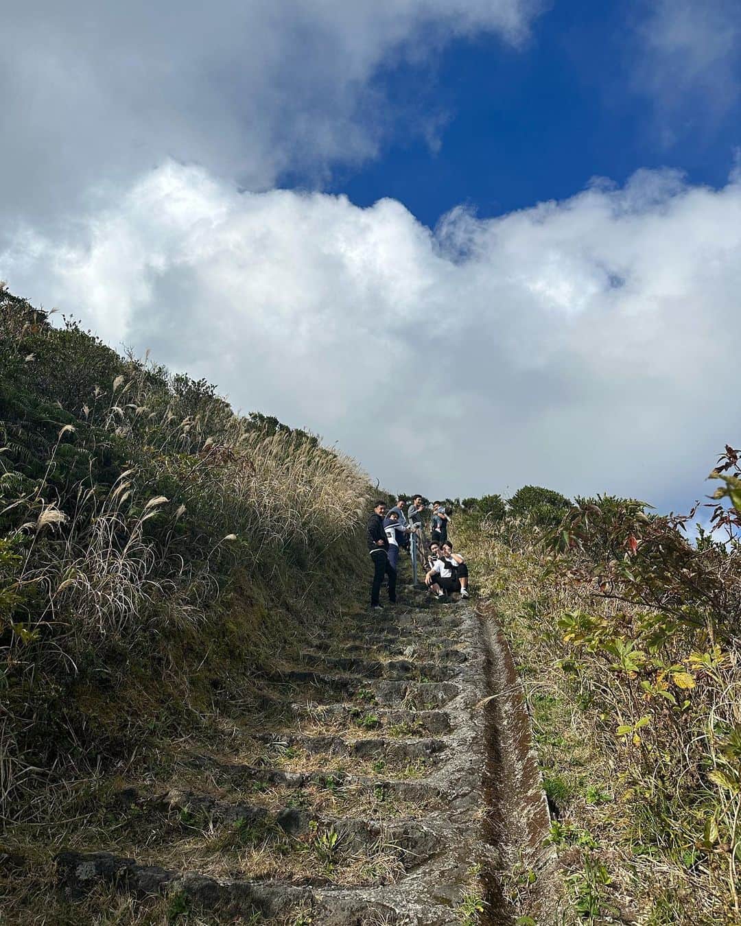 Ami さんのインスタグラム写真 - (Ami Instagram)「初めての八丈島🏝️ たまたま出会った人に、「君の名は」のラストシーンのモデルになった場所が山の頂上にあるよ！と教えてもらい せっかくならと、軽い気持ちで登り始めたのが失敗だった😨 想像の10倍キツく、スロープだと思ってた道が全て階段で、13キロの息子を皆んなで抱っこリレーしながらの登山⛰️ 1人でもギリギリのキツさなのに、、、男性陣には感謝感謝です。。 何度も心折れかけながらも到着した頂上からの景色は素晴らしかったけど、写真じゃなかなか伝わらないのが悔しいです😭 登りもキツかったけど、下りもなかなかのもので... 常につま先体重の、一段一段が高いうえにガタガタで降りるたびに膝に衝撃が走る階段。 下山しきった時、ちょっと泣きました😣 でも、終わってみると、皆んなで共通の思い出が出来た事も、それをやり切れた事も良かったなぁと思います🦵✨  急に始まった登山があまりにも強烈な思い出すぎて長くなってしまったけれど、 八丈島は思ってた以上にあったかく、食べ物も本当にどれも美味しかった‼︎ 郷土料理も美味しい物だらけで、名産のフルーツレモン🍋があまーくって、皆んなにも食べて欲しいなぁ。 あと、星がビックリするくらい綺麗だった！🌠 5分間で流れ星3つ見たよ‼︎‼︎ 海の上にキラキラ光る星達が幻想的であの景色、また観たいな〜。 そして、八丈島は今年、名探偵の映画の舞台になったようで、泊まったホテルもその場所で、行く場所のほとんどが気付いたら映画の聖地巡みたいにな、そんな八丈島旅行でした🌺  ながっ！！！！！！！！！！笑」12月14日 0時28分 - ami_dream05
