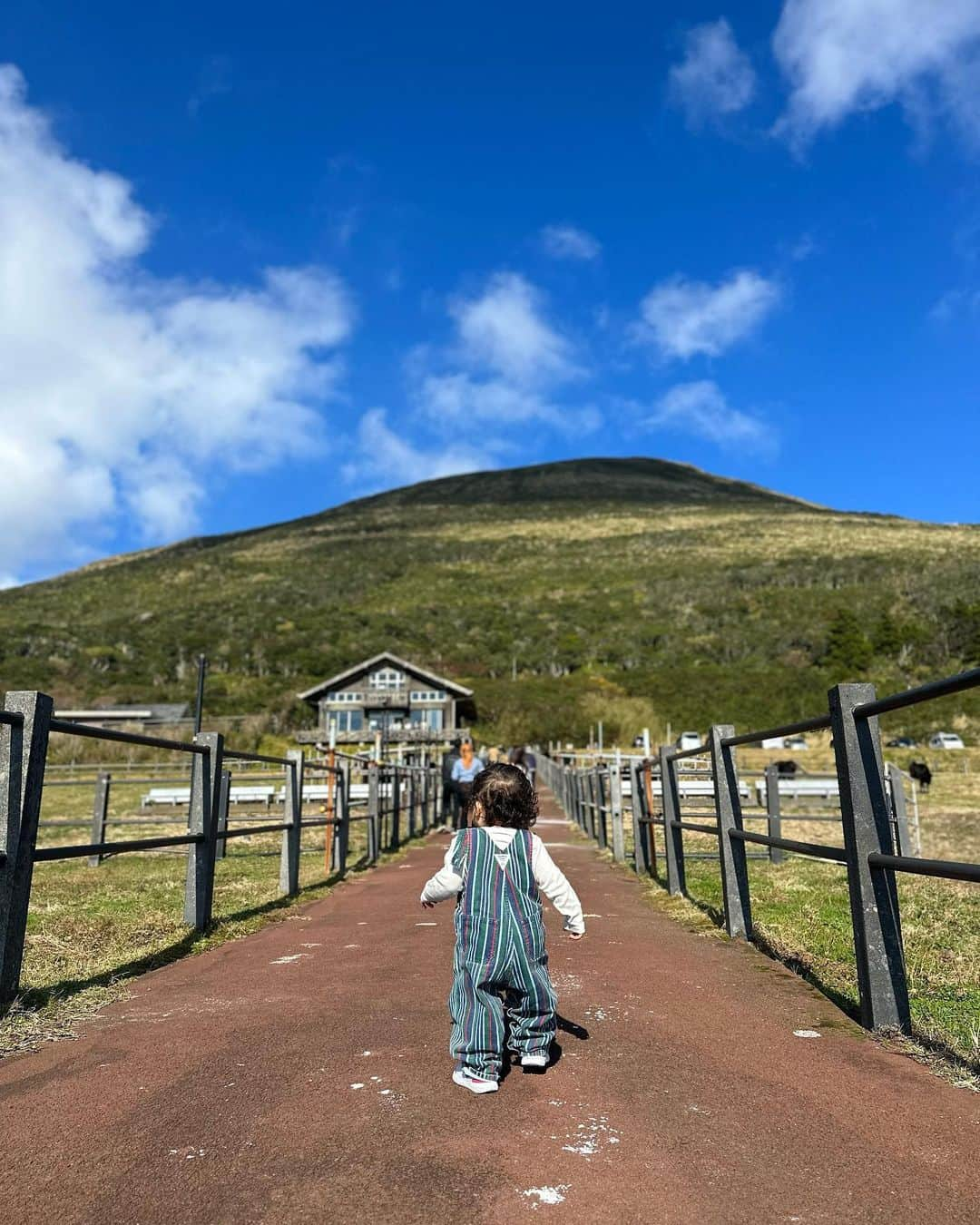 Ami さんのインスタグラム写真 - (Ami Instagram)「初めての八丈島🏝️ たまたま出会った人に、「君の名は」のラストシーンのモデルになった場所が山の頂上にあるよ！と教えてもらい せっかくならと、軽い気持ちで登り始めたのが失敗だった😨 想像の10倍キツく、スロープだと思ってた道が全て階段で、13キロの息子を皆んなで抱っこリレーしながらの登山⛰️ 1人でもギリギリのキツさなのに、、、男性陣には感謝感謝です。。 何度も心折れかけながらも到着した頂上からの景色は素晴らしかったけど、写真じゃなかなか伝わらないのが悔しいです😭 登りもキツかったけど、下りもなかなかのもので... 常につま先体重の、一段一段が高いうえにガタガタで降りるたびに膝に衝撃が走る階段。 下山しきった時、ちょっと泣きました😣 でも、終わってみると、皆んなで共通の思い出が出来た事も、それをやり切れた事も良かったなぁと思います🦵✨  急に始まった登山があまりにも強烈な思い出すぎて長くなってしまったけれど、 八丈島は思ってた以上にあったかく、食べ物も本当にどれも美味しかった‼︎ 郷土料理も美味しい物だらけで、名産のフルーツレモン🍋があまーくって、皆んなにも食べて欲しいなぁ。 あと、星がビックリするくらい綺麗だった！🌠 5分間で流れ星3つ見たよ‼︎‼︎ 海の上にキラキラ光る星達が幻想的であの景色、また観たいな〜。 そして、八丈島は今年、名探偵の映画の舞台になったようで、泊まったホテルもその場所で、行く場所のほとんどが気付いたら映画の聖地巡みたいにな、そんな八丈島旅行でした🌺  ながっ！！！！！！！！！！笑」12月14日 0時28分 - ami_dream05