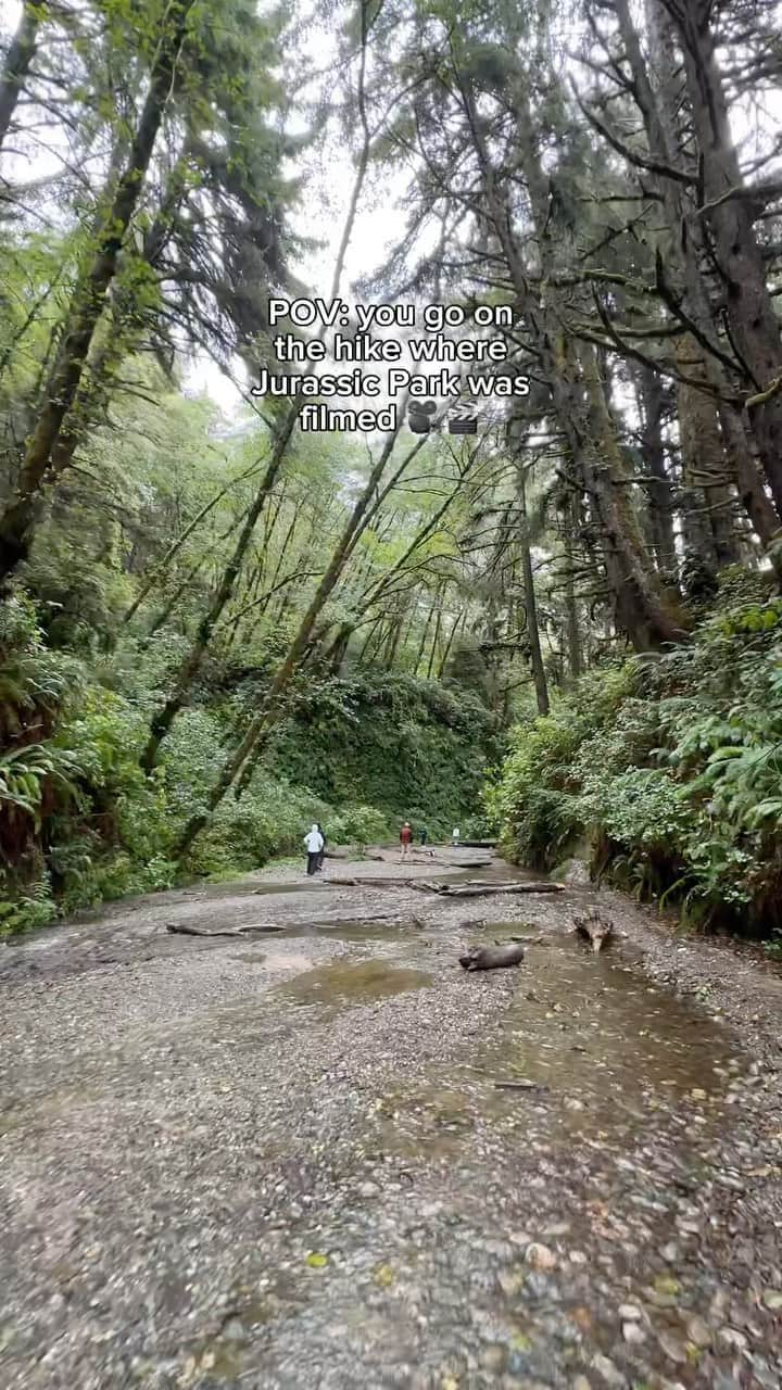 BEAUTIFUL DESTINATIONSのインスタグラム：「Finding the ‘Lost World’ of Jurassic Park on a Fern Canyon hike! 🦖  Nestled in Northern California, Fern Canyon is a lush wonderland with towering green trees that make you feel like you’re in a prehistoric paradise. 🌲  Imagine hiking through this terrain (where dinosaurs potentially once roamed) during spring for vibrant foliage or fall for a golden canopy, as those are some of the best times to visit. 🍂  📍 Fern Canyon, Prairie Creek Redwoods State Park, @redwoodcoaster, @visitcalifornia, USA」