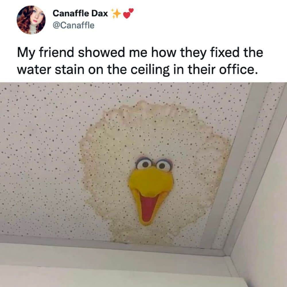 9GAGのインスタグラム：「Improvise. Adapt. Overcome by Canaffle | TW - #improves #bigbird #9gag」