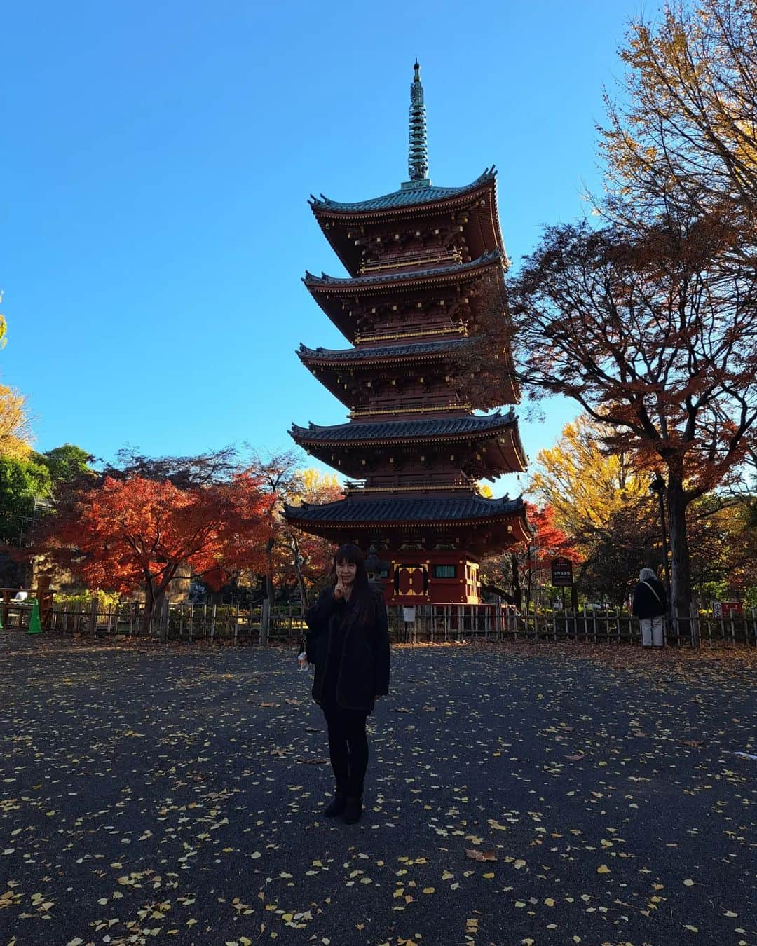 宇月田麻裕さんのインスタグラム写真 - (宇月田麻裕Instagram)「上野動物園の　#双子パンダ　#シャオシャオ　#レイレイ　#シンシン　#リーリー　見に行きました。     ランチのあとは二人で、上野動物園へ。     双子が別々になってしまう前に、  中国に行ってしまう前に  会いに行ってきました。     双子の子育てから解放された？　  #お母さんパンダ　シンシンは奥の方でぐで～     #お父さんパンダ　リーリーもぐで~     双子ちゃんは、  走ったり、遊んだり、ご飯食べたりと活発。  動いている時で良かったー。  可愛い🐼💖     男の子のシャオシャオが、レイレイにちょっかいを出しても  相手にされないのも可愛い💕     紅葉がキレイで、小旅行したみたい！  上野動物園のジャイアントパンダ情報サイト「UENO-PANDA.JP」東京動物園協会の運営する「UENO-PANDA.JP」は、上野動物園のジャイアントパンダを紹介する公式サイトです。ジャイアントパンダの個体情報をはじめ、上野動物園へのアクセス、開園時間、園内マップ、その他ジャイアントパンダ保護サポート基金等、さまざまな情報を掲載しています。￼www.ueno-panda.jp        パンダプロフィール｜上野動物園のジャイアントパンダ情報サイト「UENO-PANDA.JP」」12月14日 2時33分 - mahiro_utsukita