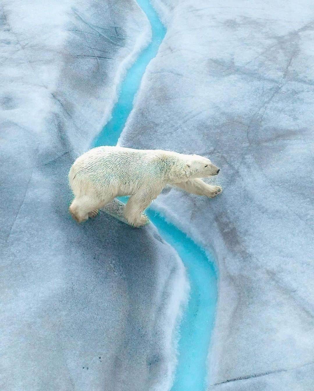 Discover Earthさんのインスタグラム写真 - (Discover EarthInstagram)「Lost in wonderland 🐻❄️🏔️  📍 Arctic Circle  🌎 #DiscoverEarth with @aeroture_aus」12月14日 3時56分 - discoverearth