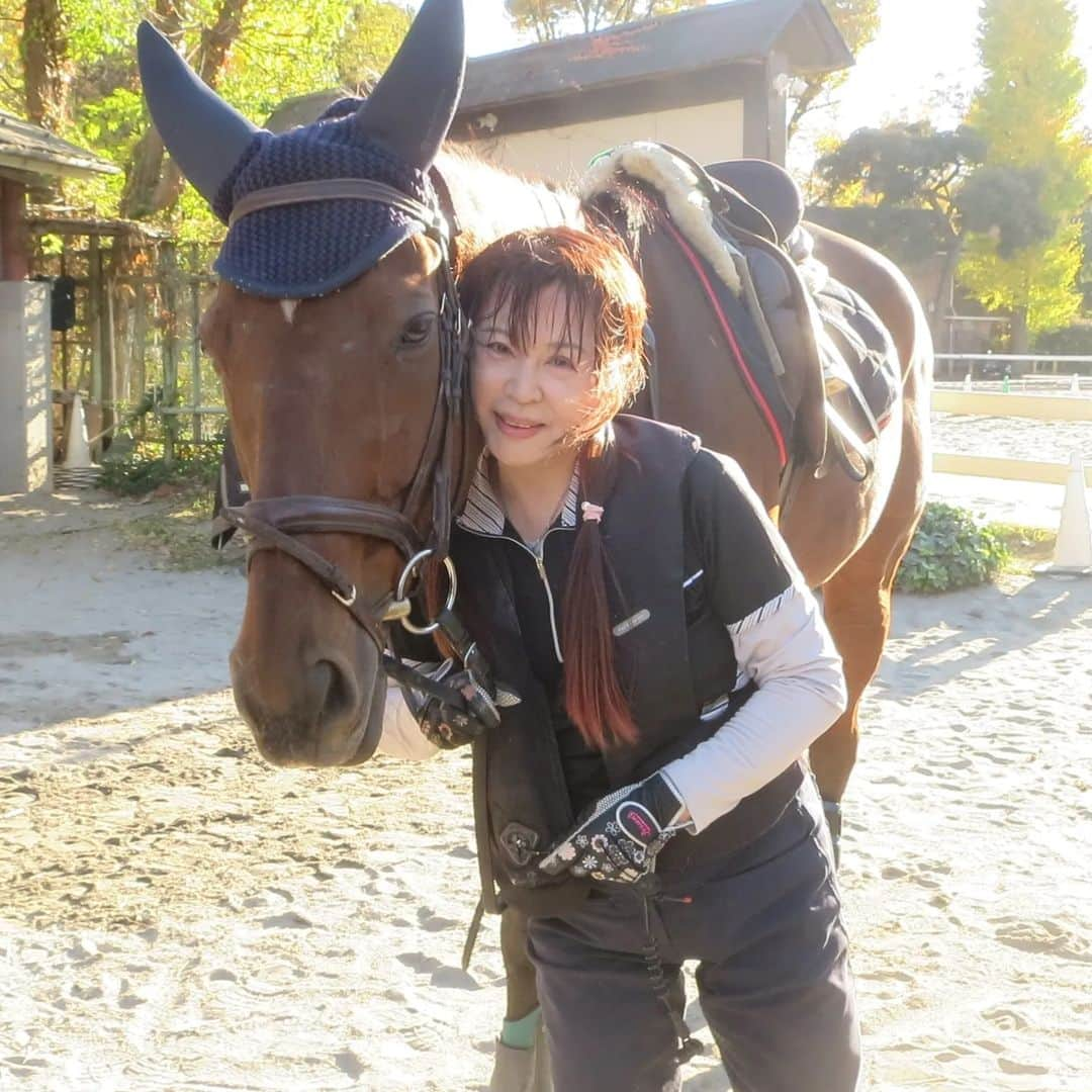 宇月田麻裕のインスタグラム：「12/3　#乗馬日記 「いい感じ」 #フレディー　 レッスンは、前回に続き　フレちゃんこと「フレディ」＆Ｍ先生 12/4に少し載せています。 色々と忙しく、なかなか乗馬日記書けず。前回同様、時間が経ち過ぎて、記憶が… M先生なので下乗りなしでしたが、最初からサクサク。 なんでもやってくれます。 駈步も何度もしてくれました。 フレ、先生、ありがとうございましたm(__)m 肢、心配だー。 乗馬日記、次回に続く」