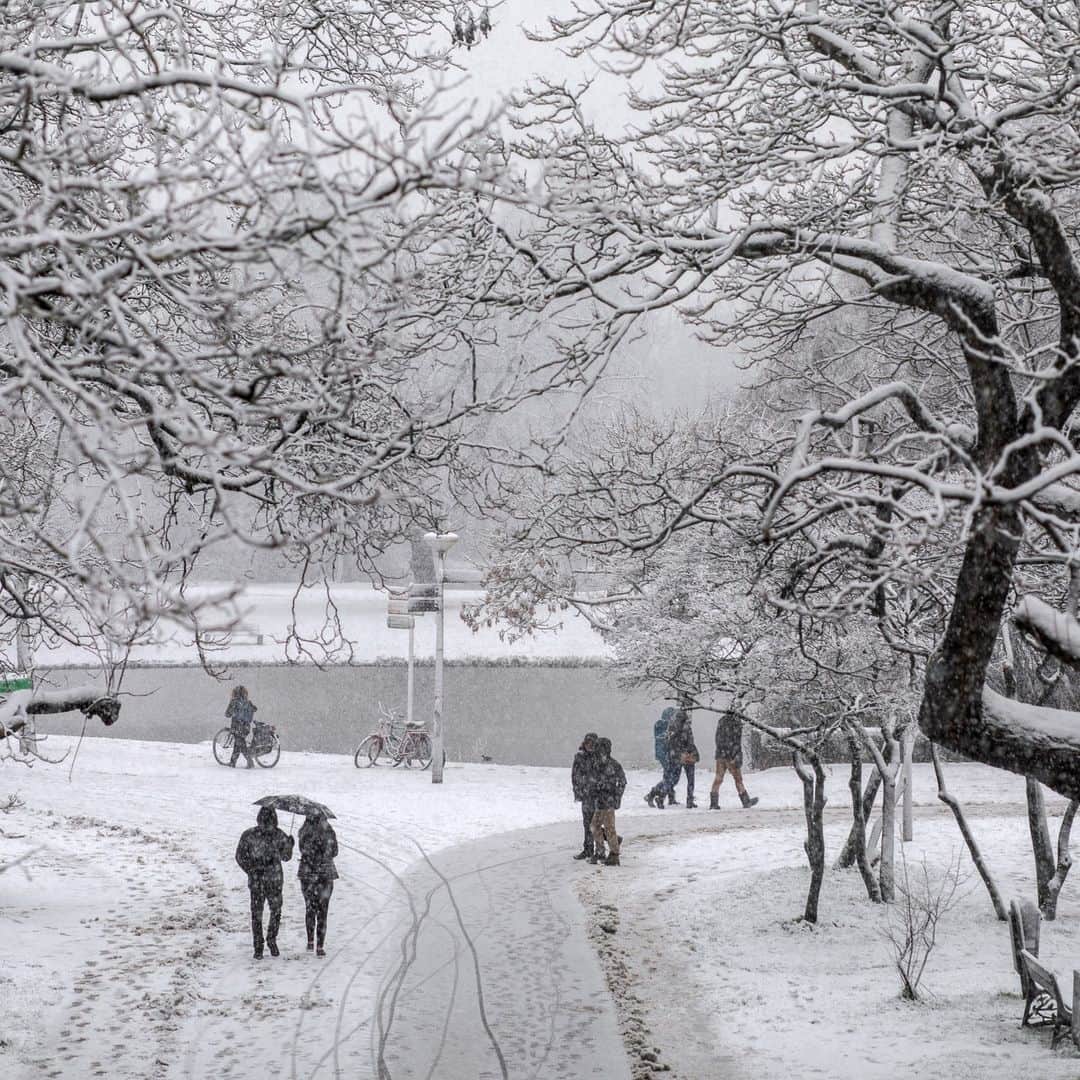 National Geographic Travelのインスタグラム：「Photo by Muhammed Muheisen @mmuheisen | Amsterdam’s Vondelpark during a snowfall a couple of years ago.   For more photos and videos from different parts of the world, follow me @mmuheisen.」
