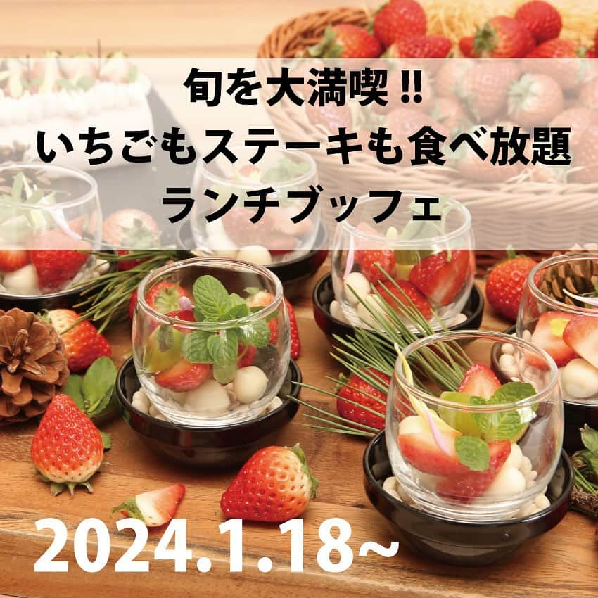 【公式】ホテルマリノアリゾート福岡のインスタグラム：「福岡で１番早い！？　いちごフェア開催🍓 昨年も大人気のいちごフェアがさらにバージョンアップして今年も開催🌟  超幸せ！！いちごだけじゃなくて目の前で焼き上げる鉄板牛ステーキ🍖 やデザートも充実★あまおうソフトクリームも登場🍦  お早めにご予約を  ▶ご予約はTOPページより公式HPにて TEL 092-895-5511 @marinoa_resort_fukuoka  #ホテルマリノアリゾート福岡 #マリノアリゾート #リゾート #福岡グルメ #福岡ランチ #福岡観光 #リゾートホテル #旅行好きな人と繋がりたい #女子会ランチ #マリノアシティ #マリノアシティ福岡 #福岡レストラン #福岡カフェ #福岡スイーツ #福岡市西区 #ホテルスイーツ#いちごスイーツ #いちご食べ放題 #いちごすきな人と繋がりたい」