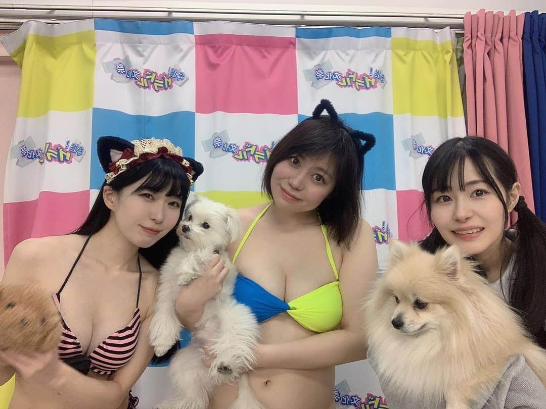 豊田えまのインスタグラム