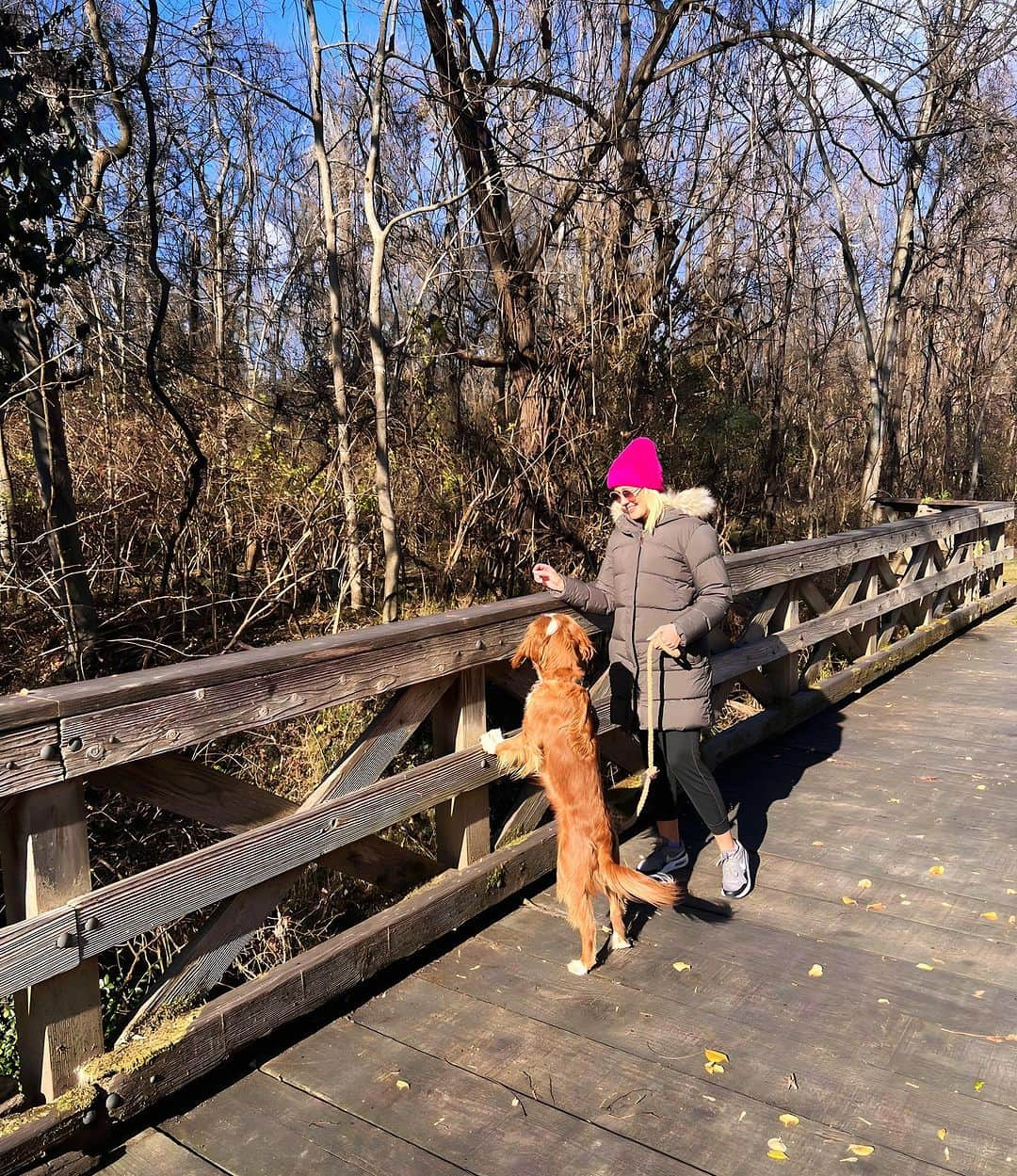 アンナ・キャンプさんのインスタグラム写真 - (アンナ・キャンプInstagram)「What a gorgeous day in Music City with my fur babies. Thanks @prana for the jacket to keep me cozy and @silkybeats for the happy hike 💘」12月19日 6時22分 - therealannacamp