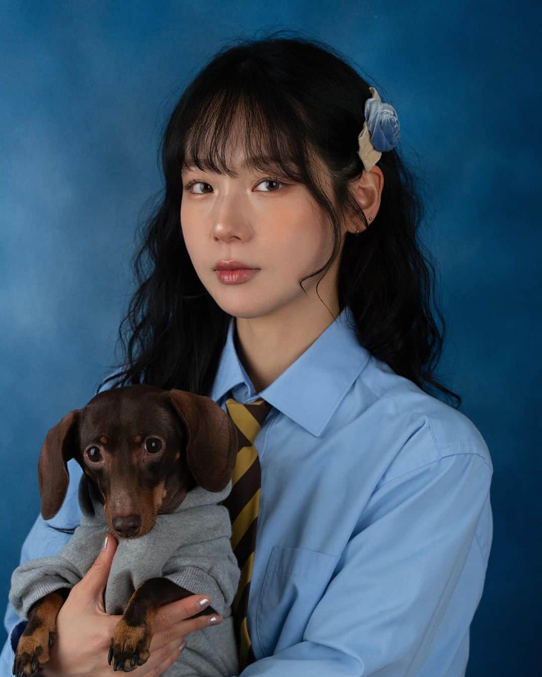 solsolのインスタグラム：「김탄지 그녀 첫 증명사진 찍다🦕🩵탄지 남자 아니고 여자입니다🧏🏻‍♀️ 김탄지 키링이 미쳣음… 갖고싶지? 갖고싶지? #알로사우르스」