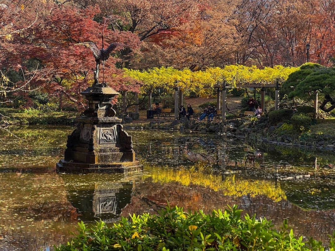 リー・シェンロンのインスタグラム：「I’ll be on leave till the end of the year! Wishing everyone happy holidays this festive season. Will update if I come across anything interesting. Stay safe and healthy! – LHL  (Hibiya Park, Tokyo. / Photo by me)」