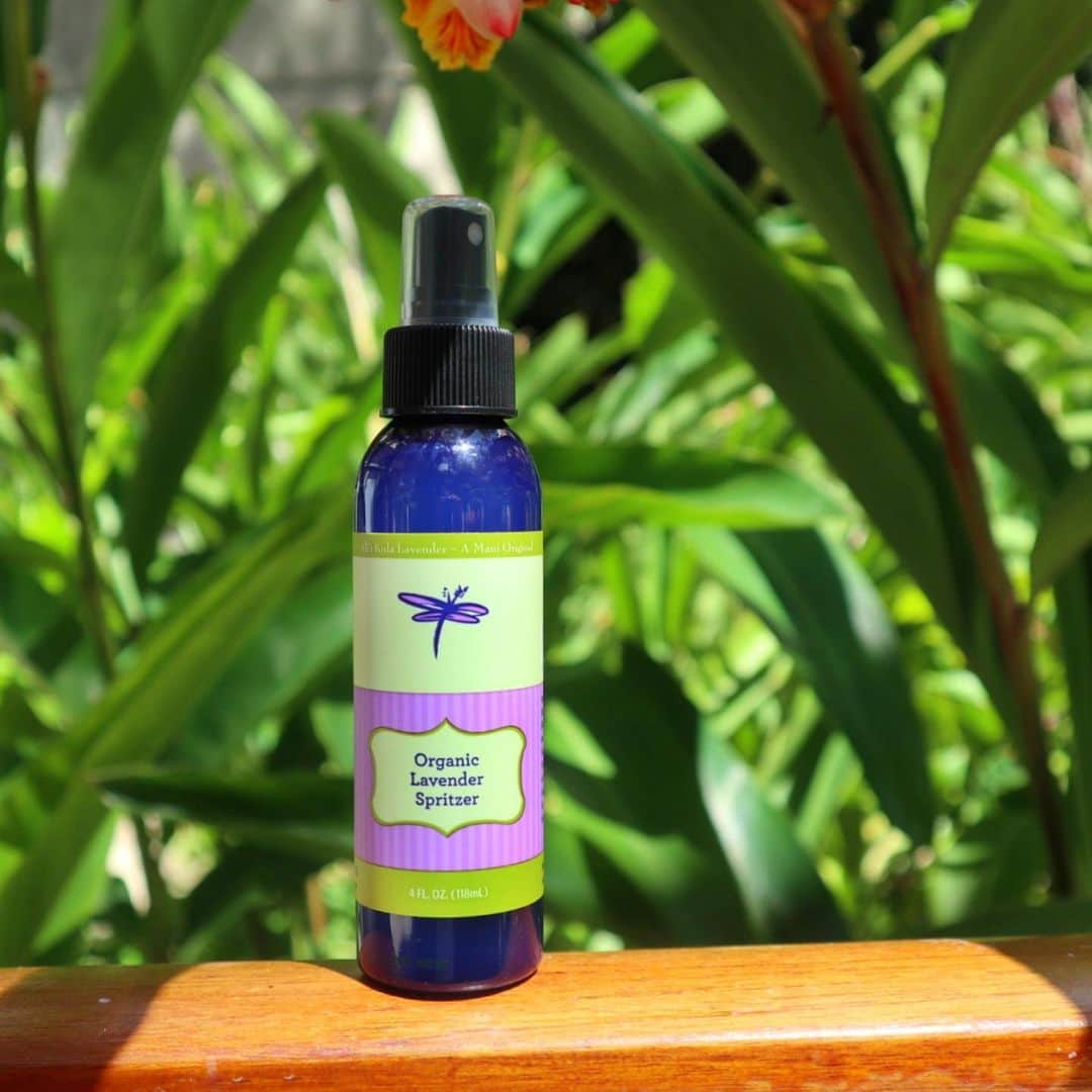 Belle Vie Hawaiiのインスタグラム：「Ali’i Kula Organic Lavender Spritzer  アリイクラ　オーガニック・ラベンダーミスト  マウイ島クラのラベンダー畑で採れた 有機栽培ラベンダーエッセンシャルオイルを使用した オーガニックミスト💜  他にもカモミールやローズマリー、アロエなどオーガニック植物をたっぷり配合🌿 お肌を優しく潤すだけでなく、空気をリフレッシュさせてくれる優れものです✨  髪や体など全身にお使いいただけるのはもちろん、 おやすみ前に枕カバーやシーツなどのベッドリネンに吹きかけるのもおススメ❣️  ラベンダーには 気になる臭いを抑える消臭効果もあると言われているので バスルームや車の中などに常備しておくといいですね👍  【ベルヴィー店頭情報】 営業時間: 午前10時〜午後9時　無休 店頭だけのお買い得商品多数有り🌺 詳しくは店頭でお尋ねください  Open Daily 10:00am〜9:00pm Instagram in English  @belleviehawaii.en   #lavendermist  #ラベンダーの香り  #マウイ島  #オーガニックコスメ  #メイドインハワイ  #サスティナブルブランド  #フレグランスミスト  #アリイクララベンダーファーム」