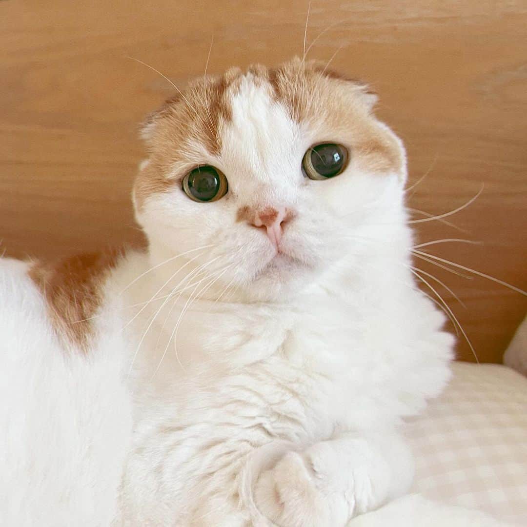 のんたのインスタグラム